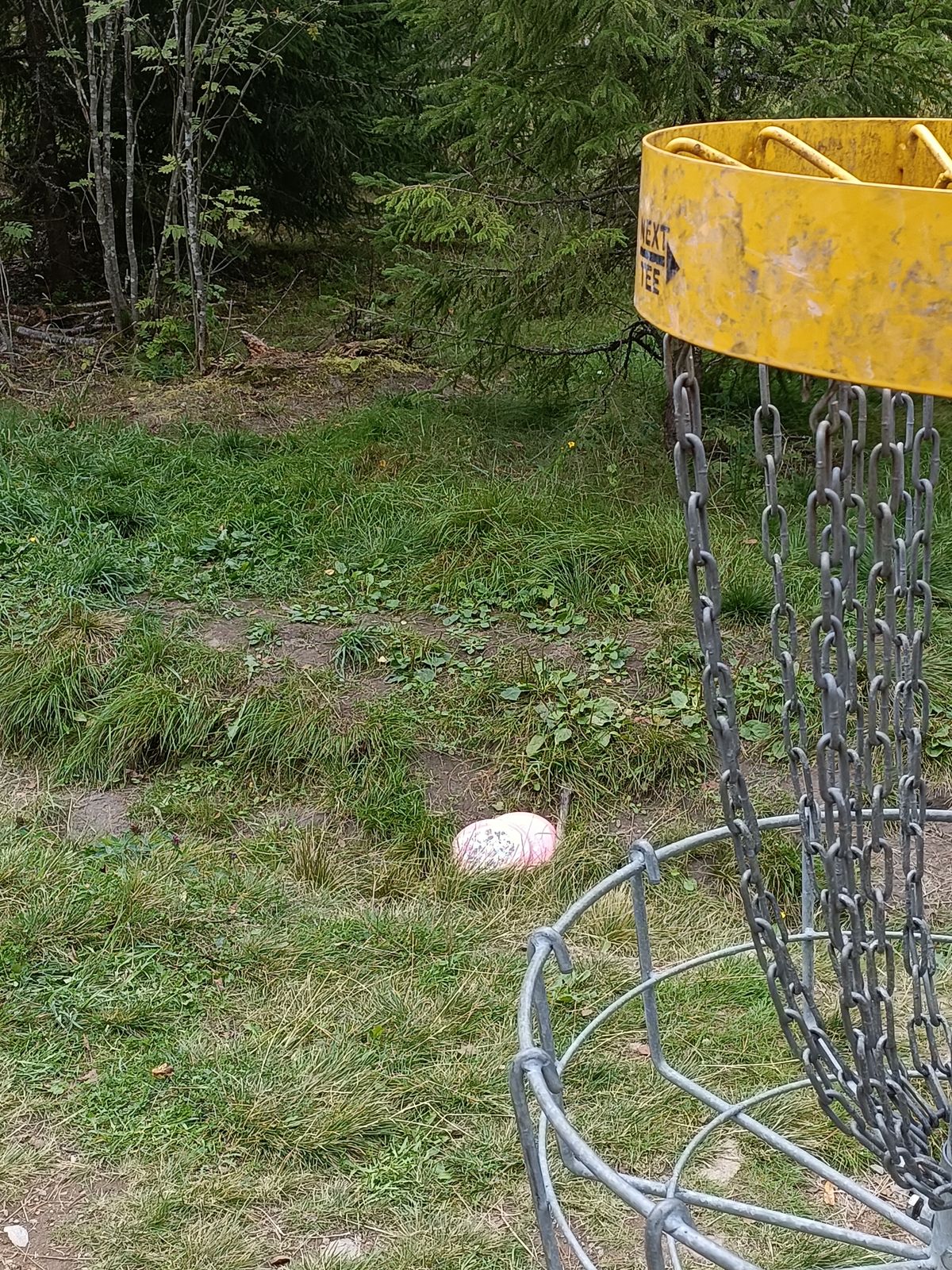 Väylä 4. Kaksi identtistä heittoa kaksi eri heittäjää.