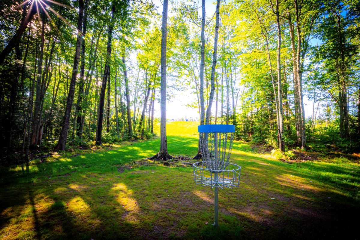 Hole 8 Basket