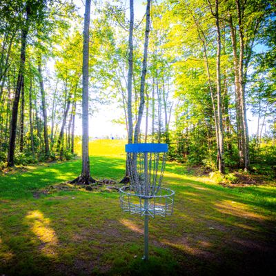 Hole 8 Basket