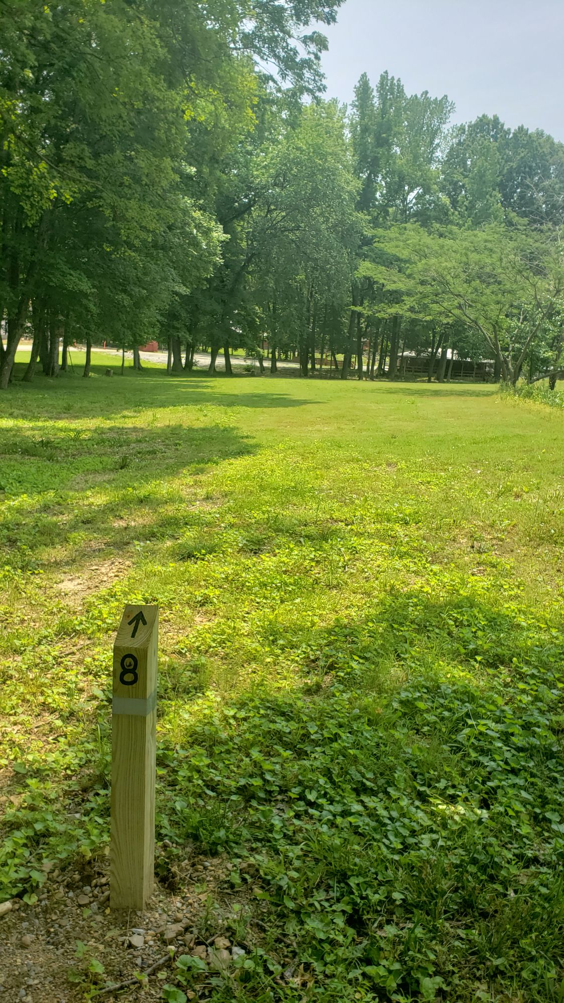 Hole 8