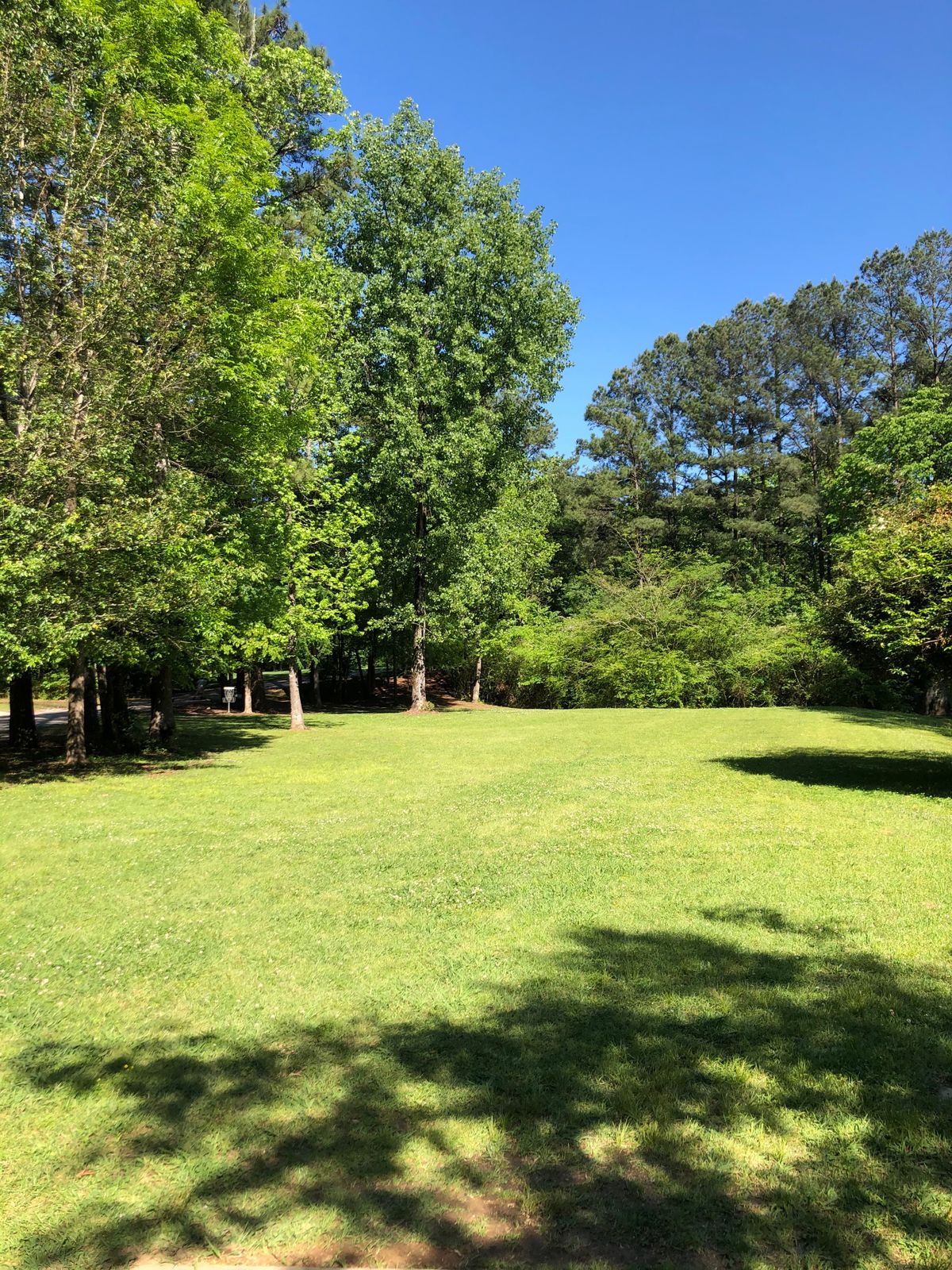 Hole 6