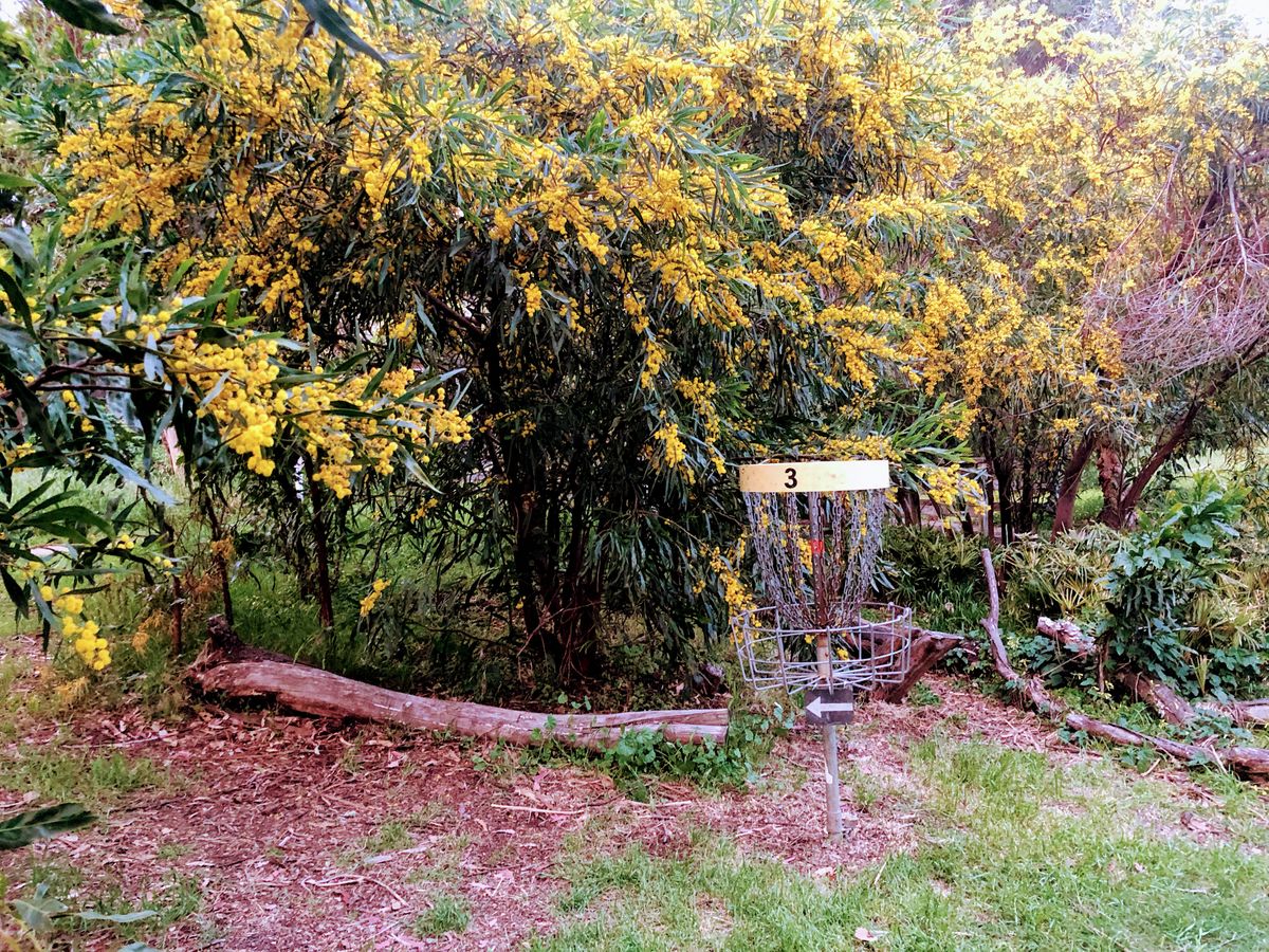 Hole 3