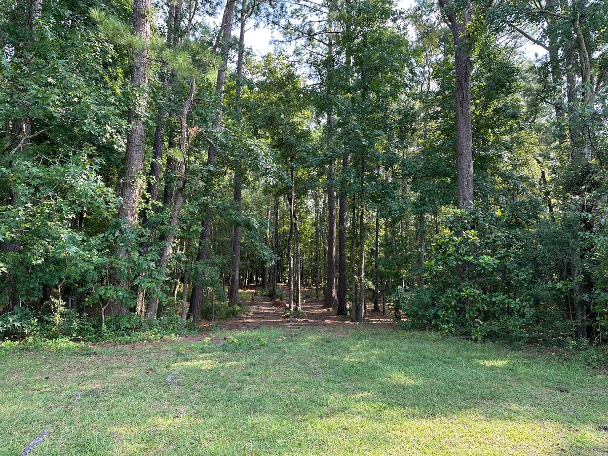 Hole 1 Fairway