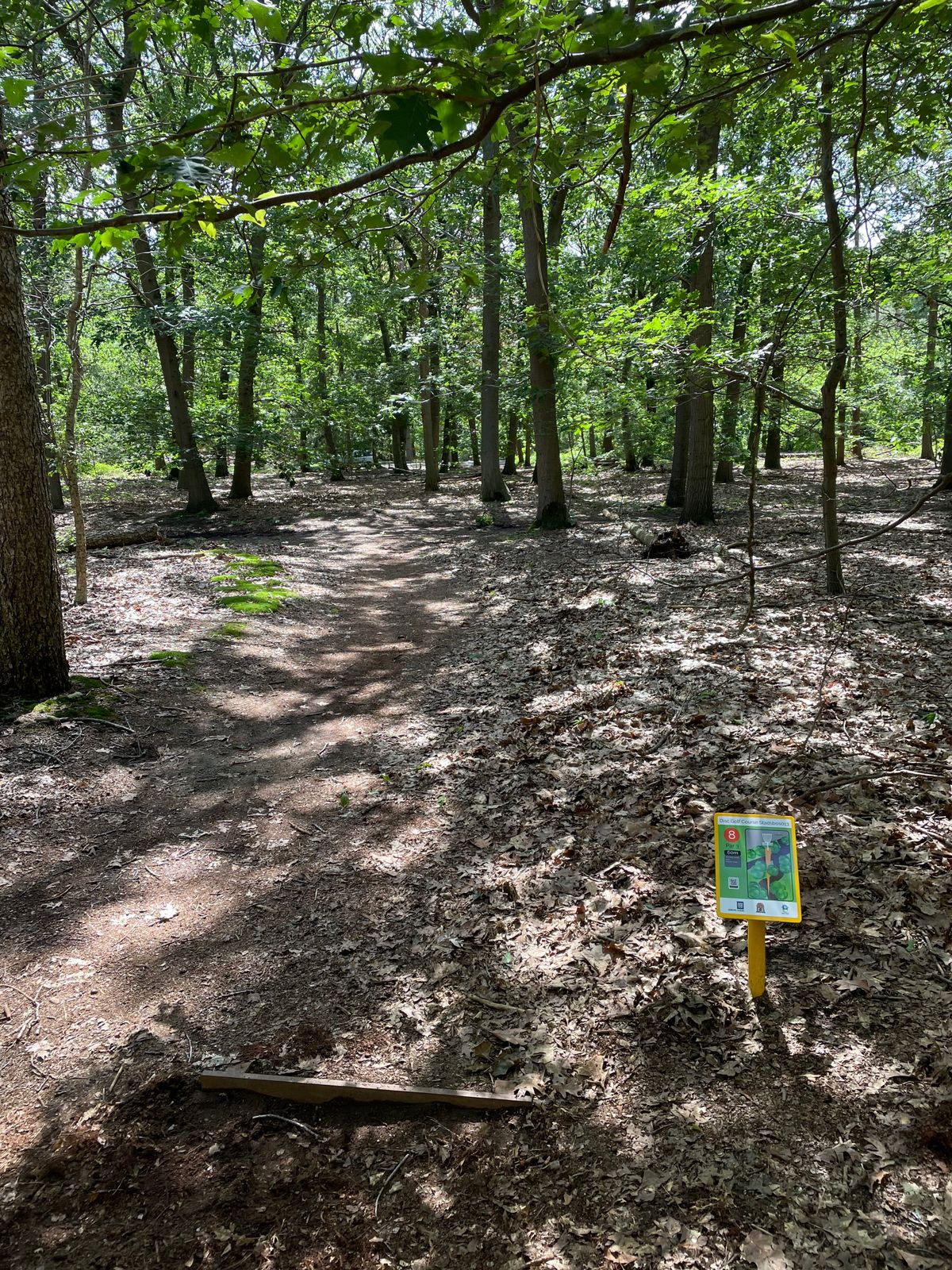 hole 8