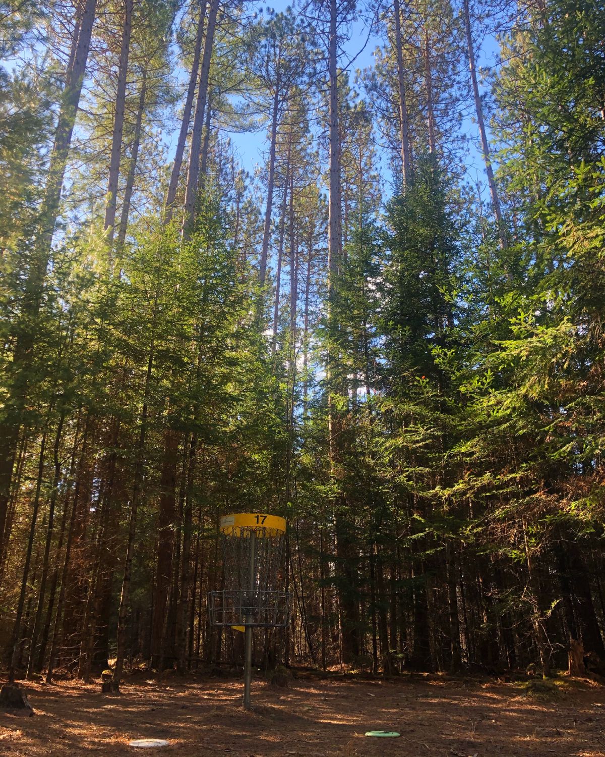Hole 17
Or number one from upper parking
Lot  off season