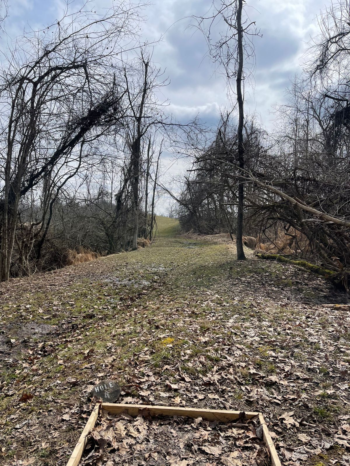 Hole 4 (Teebox)