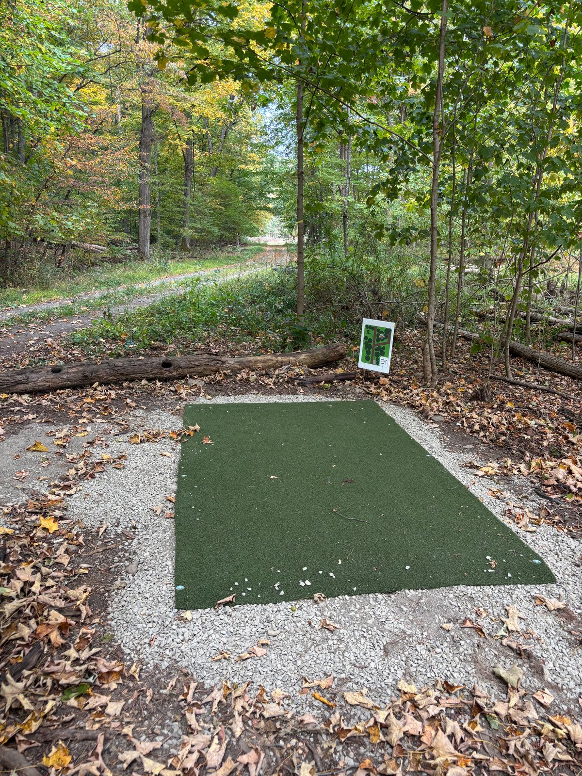 Hole 14 tee