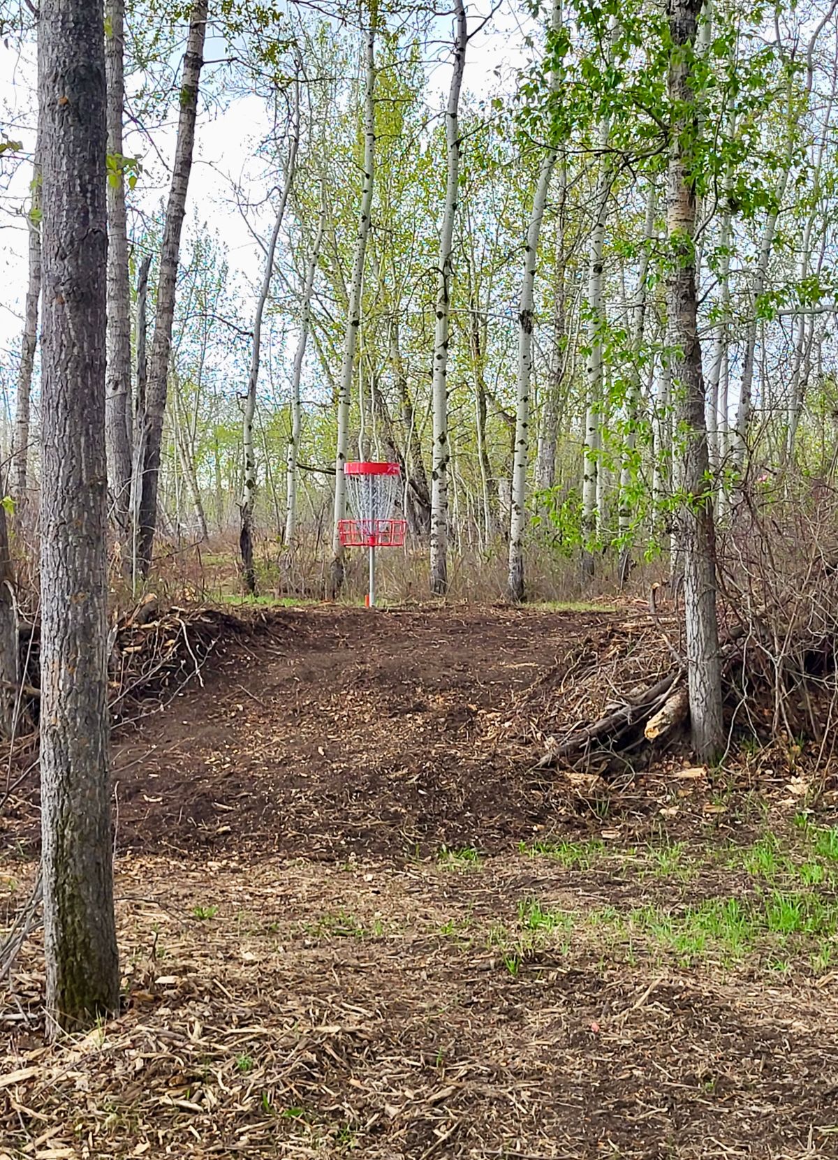Hole 6 basket.
