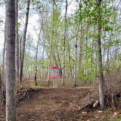 Hole 6 basket.