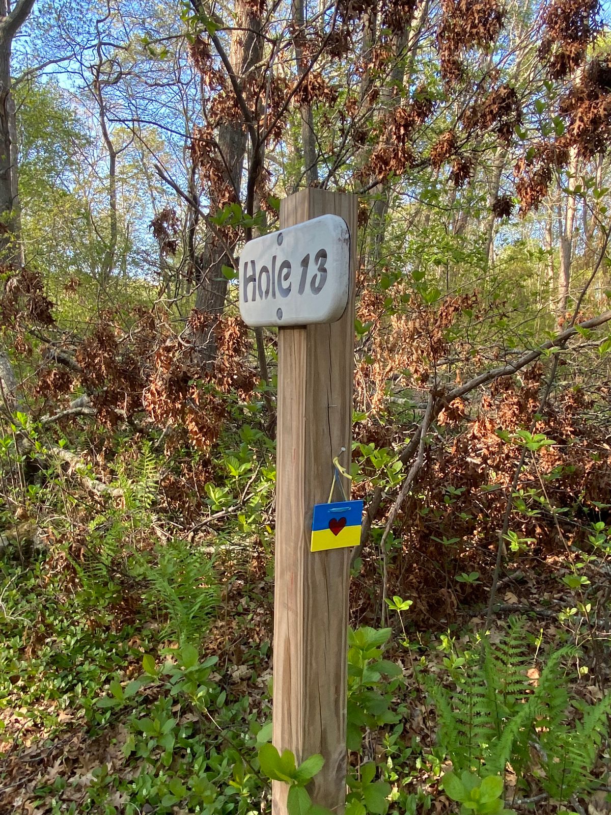 Disc golf love for Ukraine!