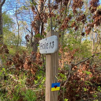 Disc golf love for Ukraine!