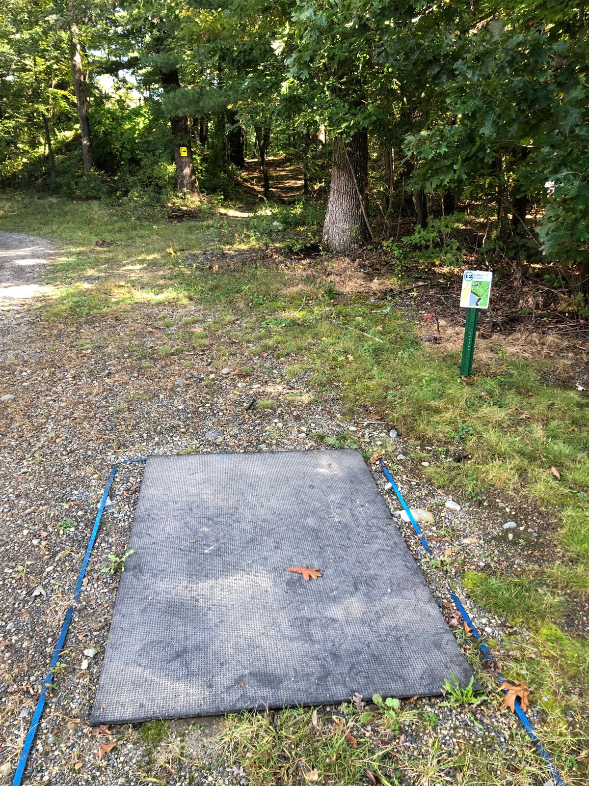 Hole 12 Tee