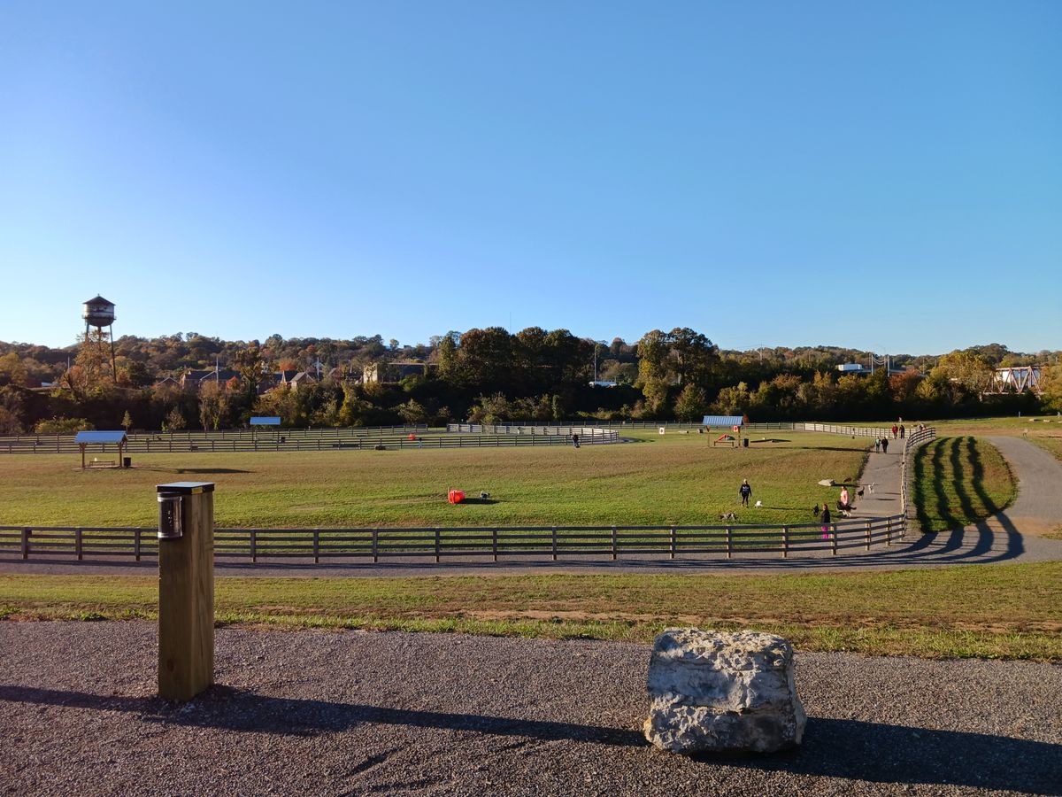 Dog park located in the middle of the park