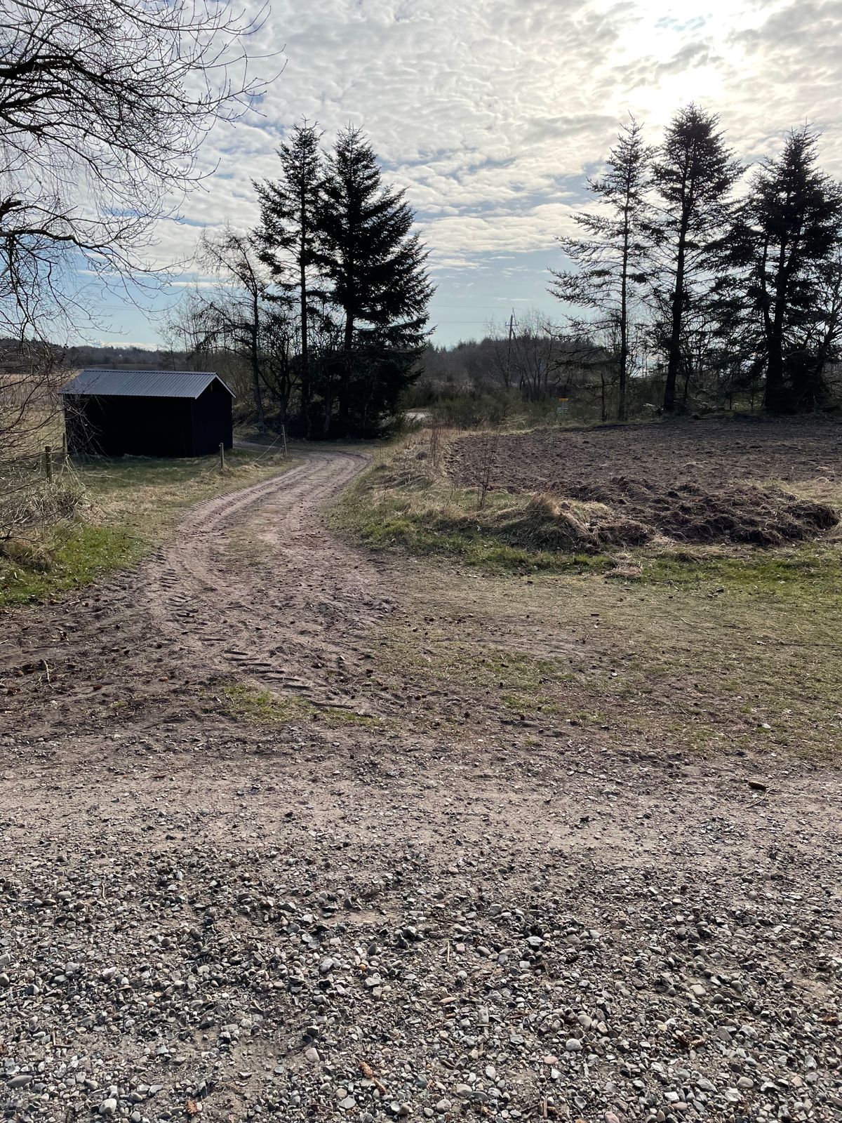 Teeshot Hole 6