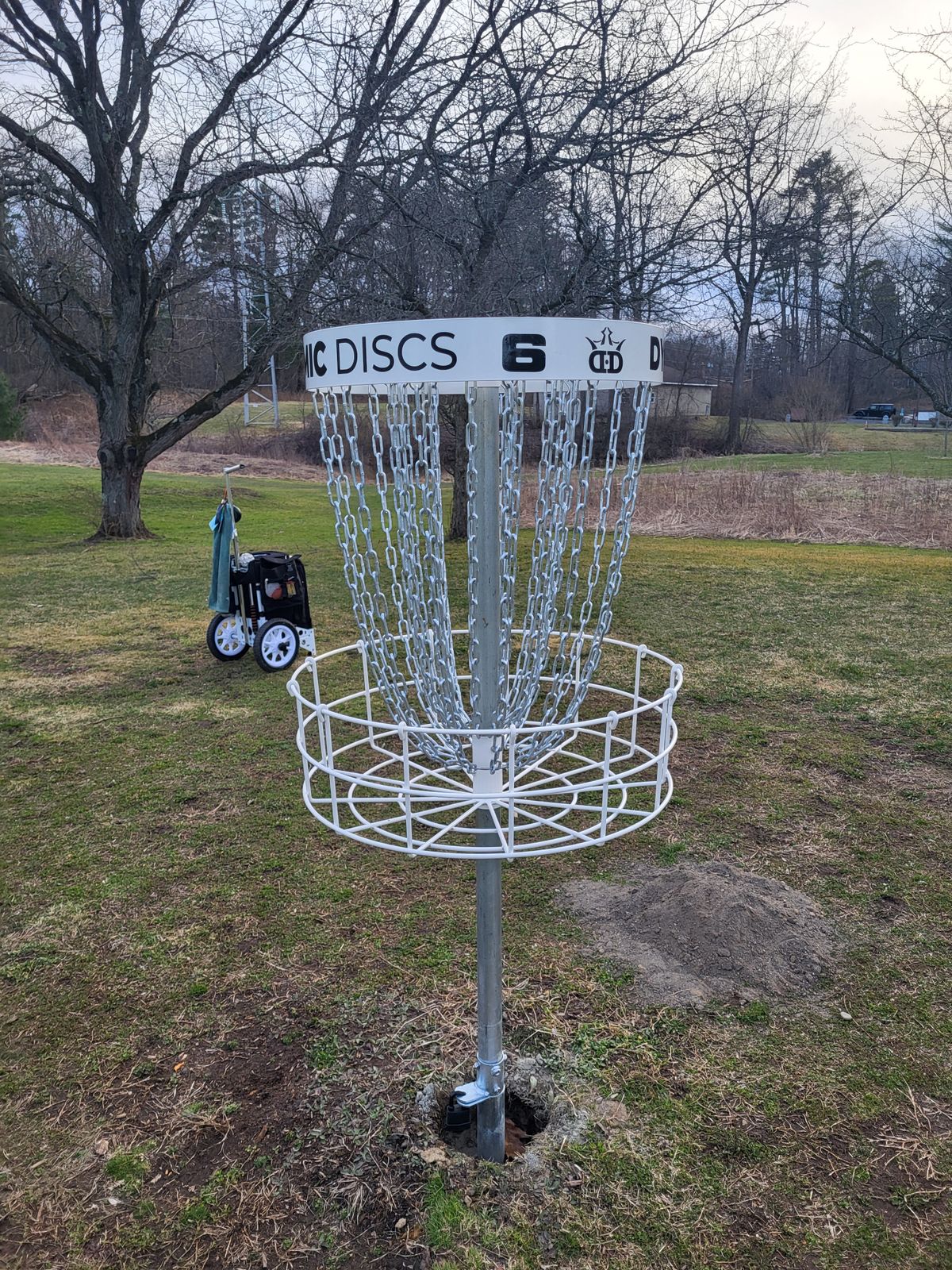 Dynamic Discs Patriot Baskets on every hole.