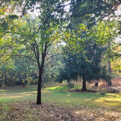 Hole 5 by amphitheater