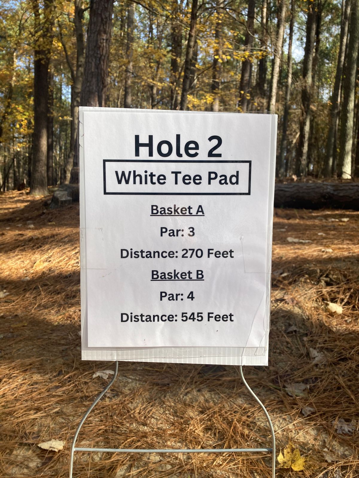 Hole 2 White Tee Sign