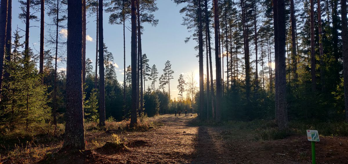 Hål 10