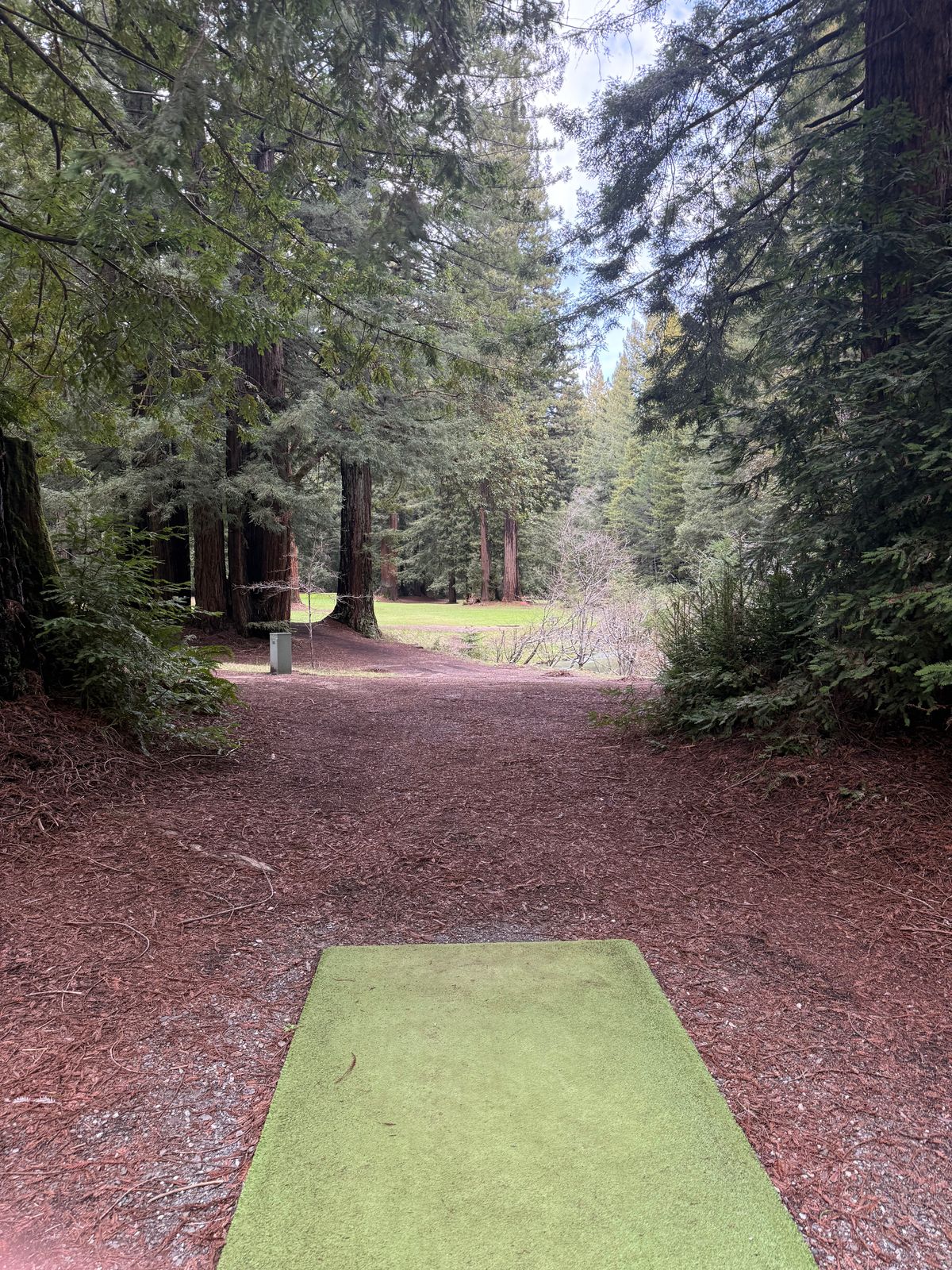 Hole 2 Tee