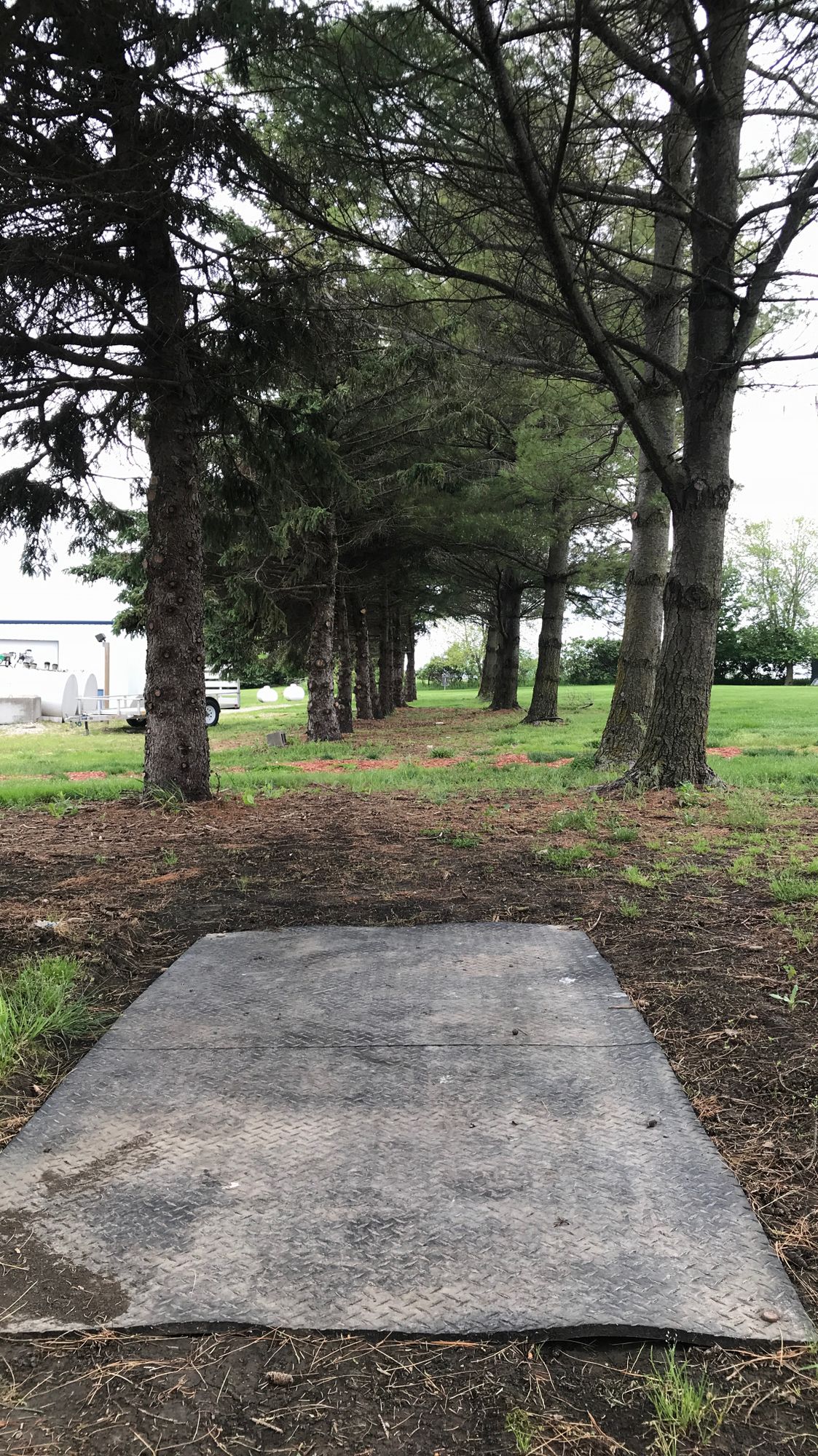 Hole 9 narrow gap shot