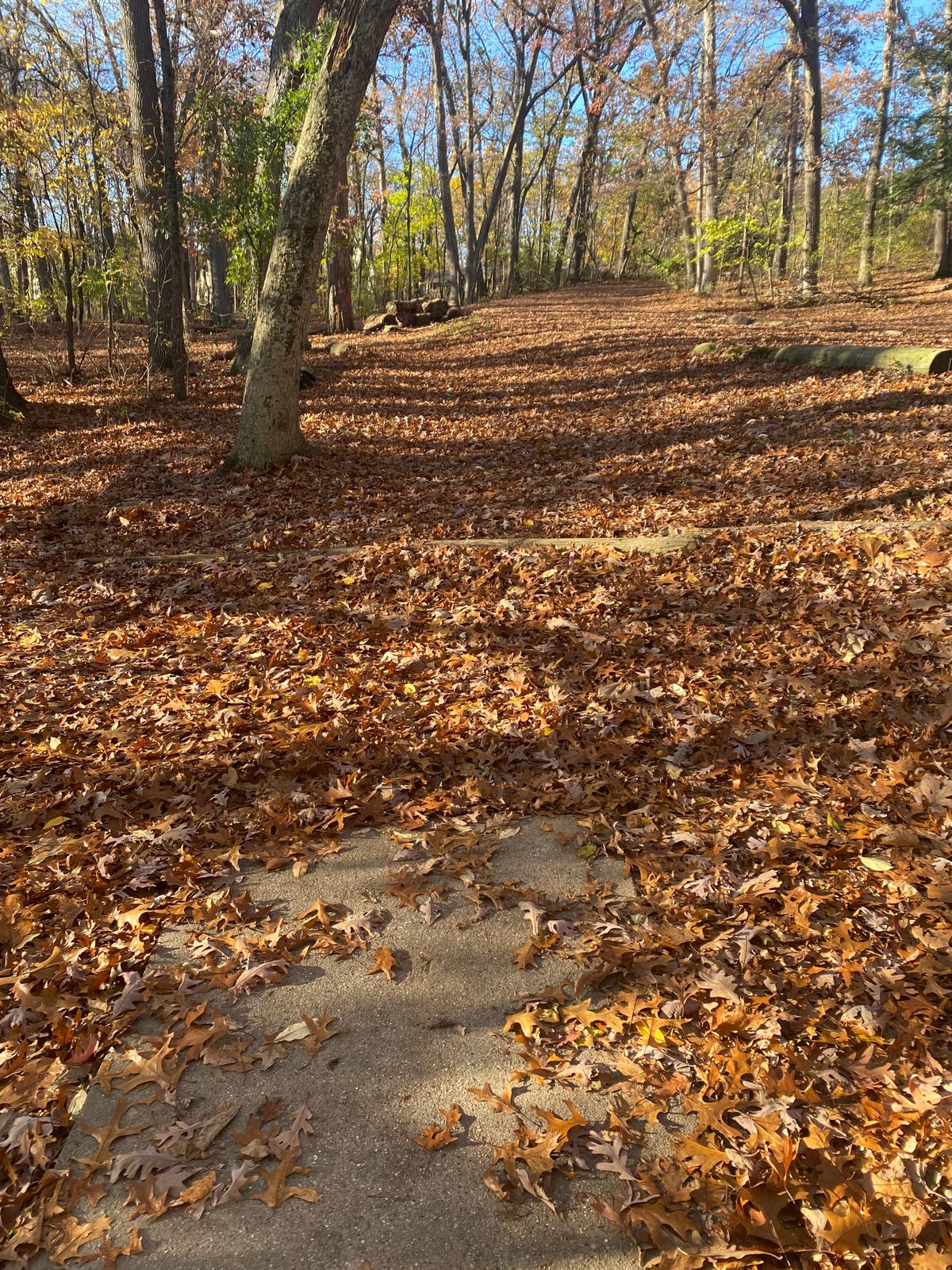 Hole 14 Tee Pad