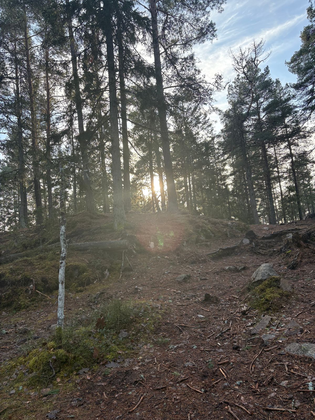 Bana 6 Förmiddagssol