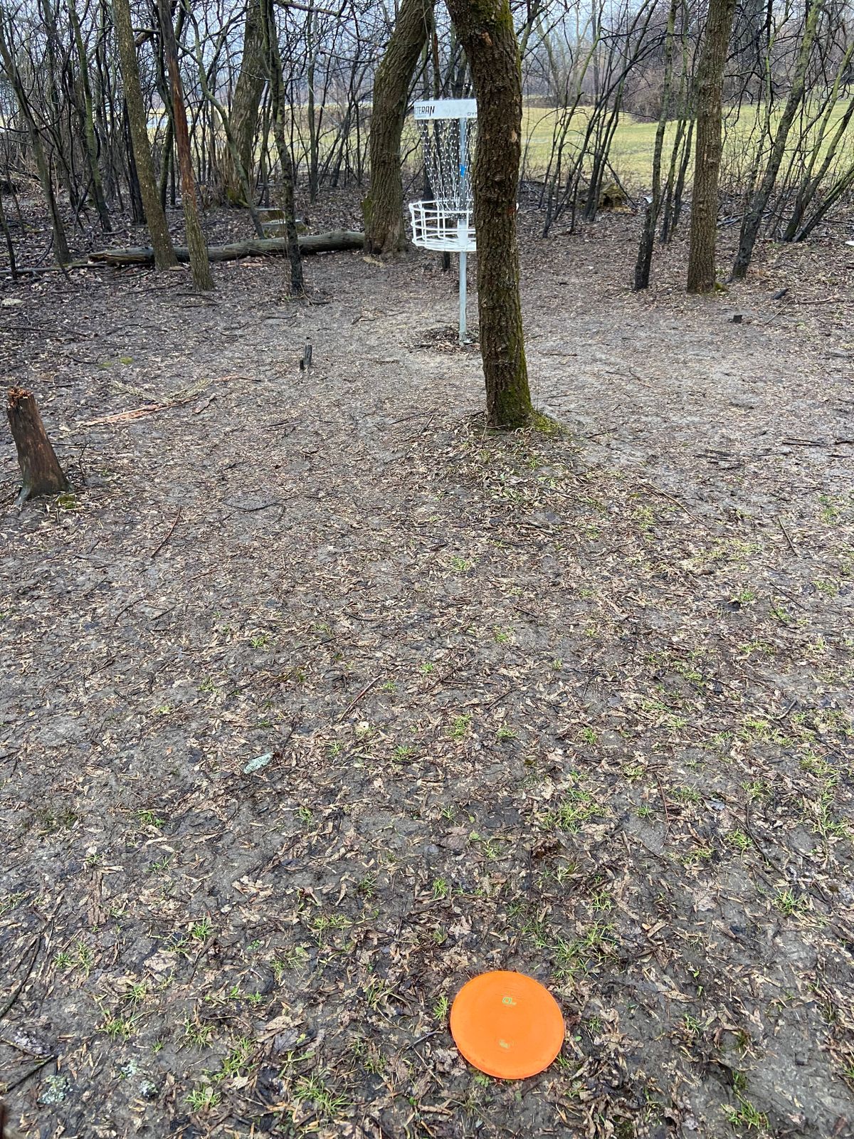 Hole 8 green