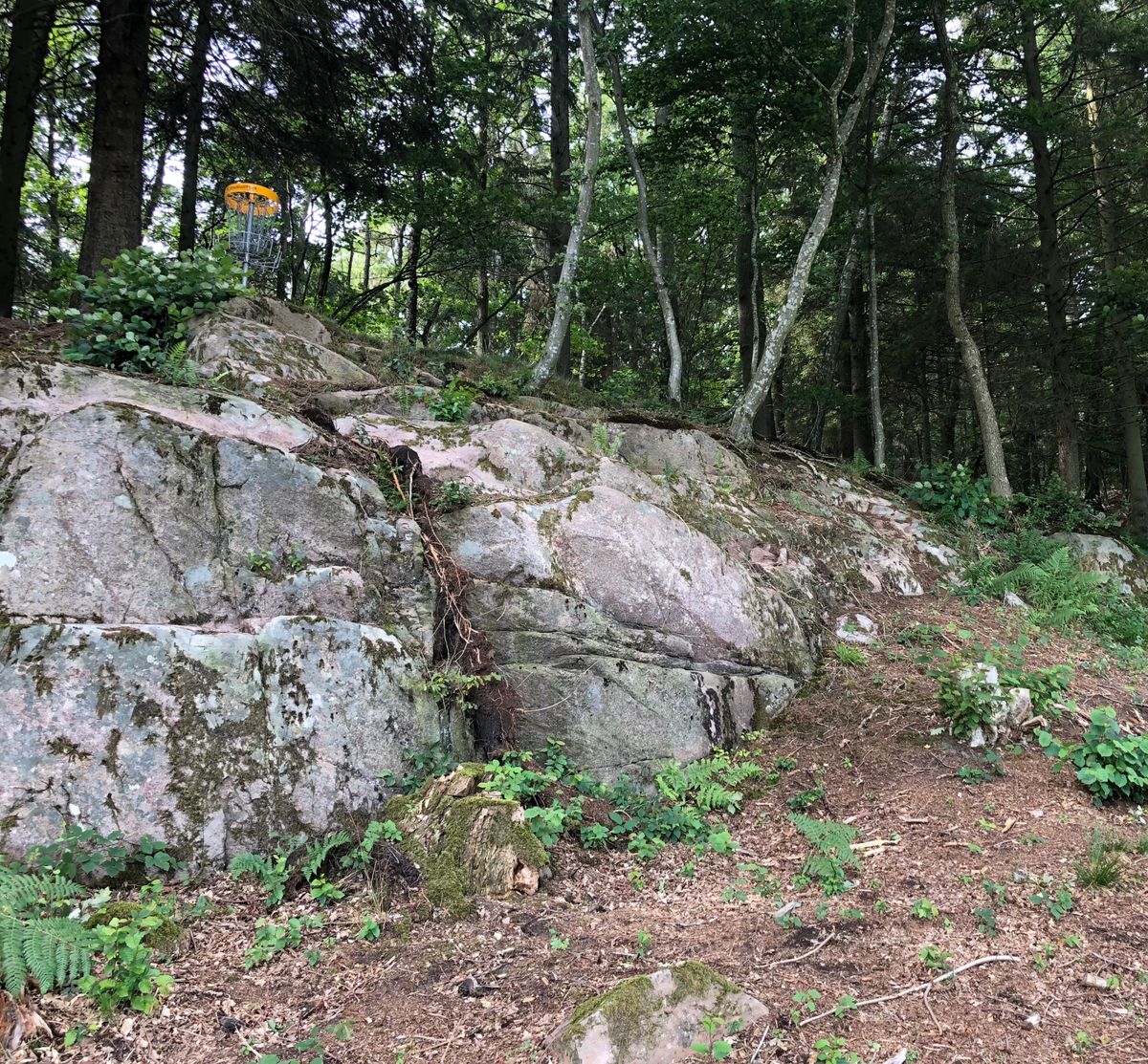 The green og hole 14.