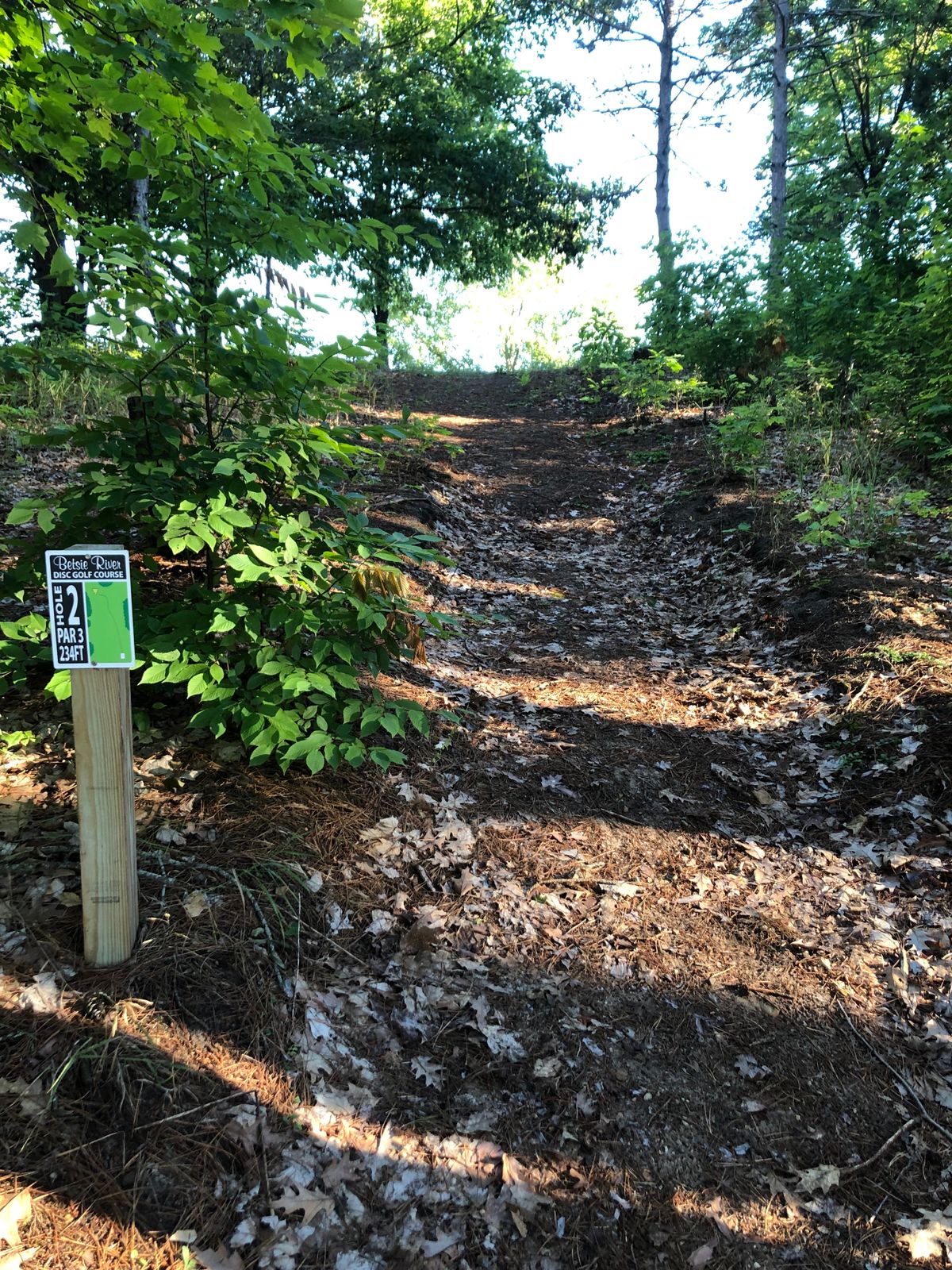 Hole 2