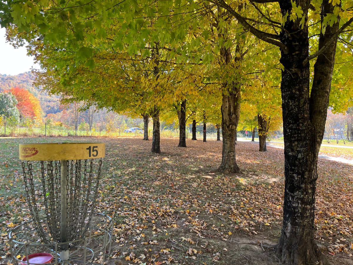 Hole 15 Basket - Leaves are changing color