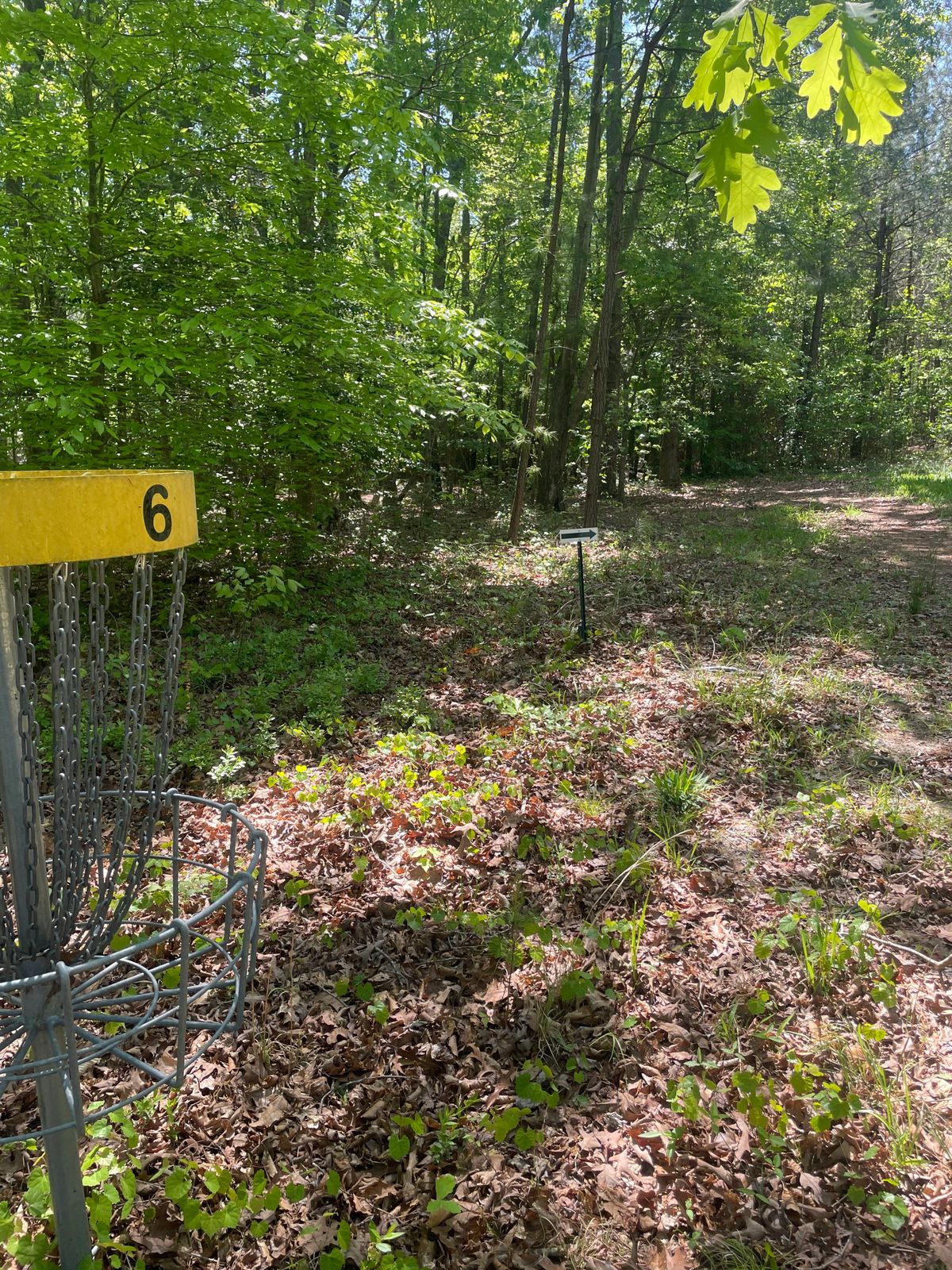 Hole 6 basket, path to 7 teebox. Follow path, go across campground to teebox just beyond fire pit