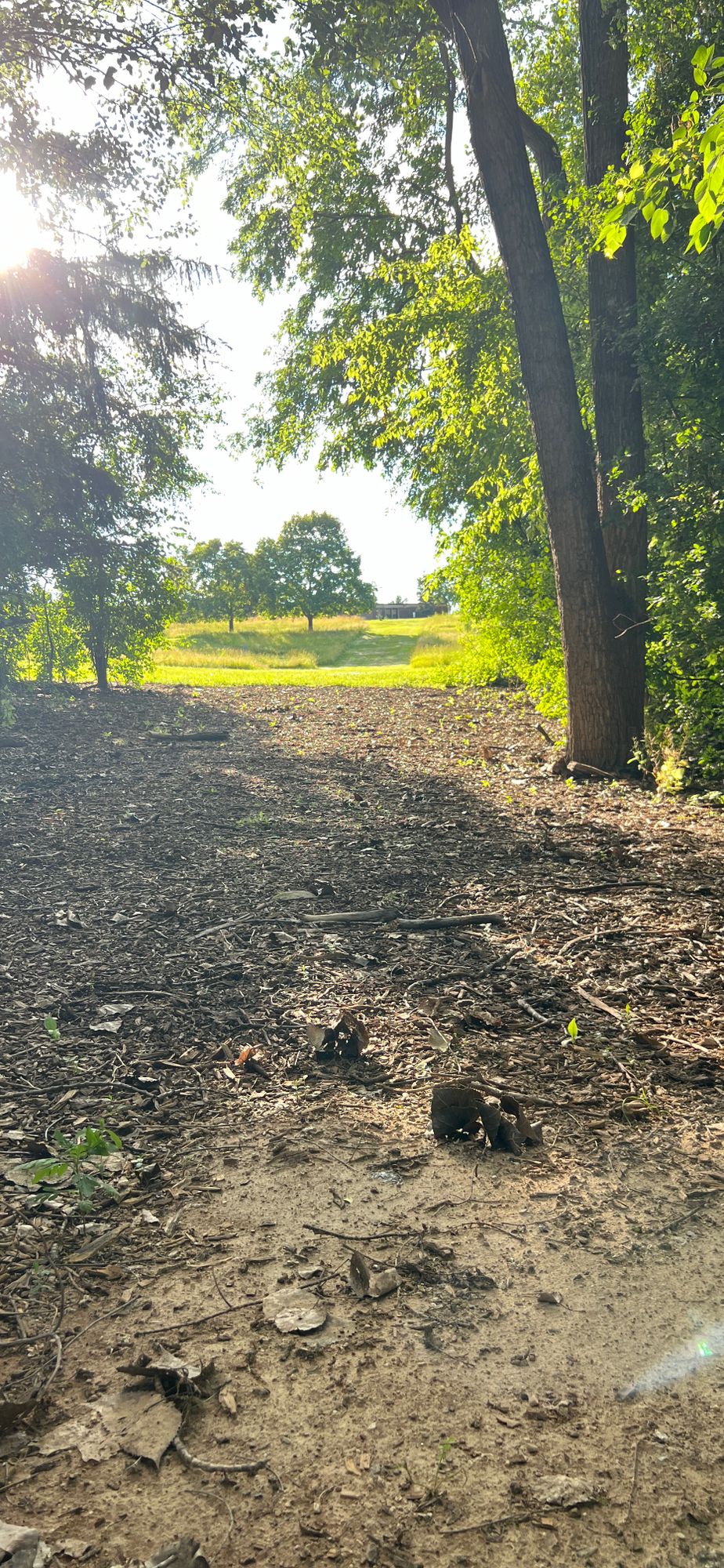 Hole 9 - View from Tee Pad - June 2024