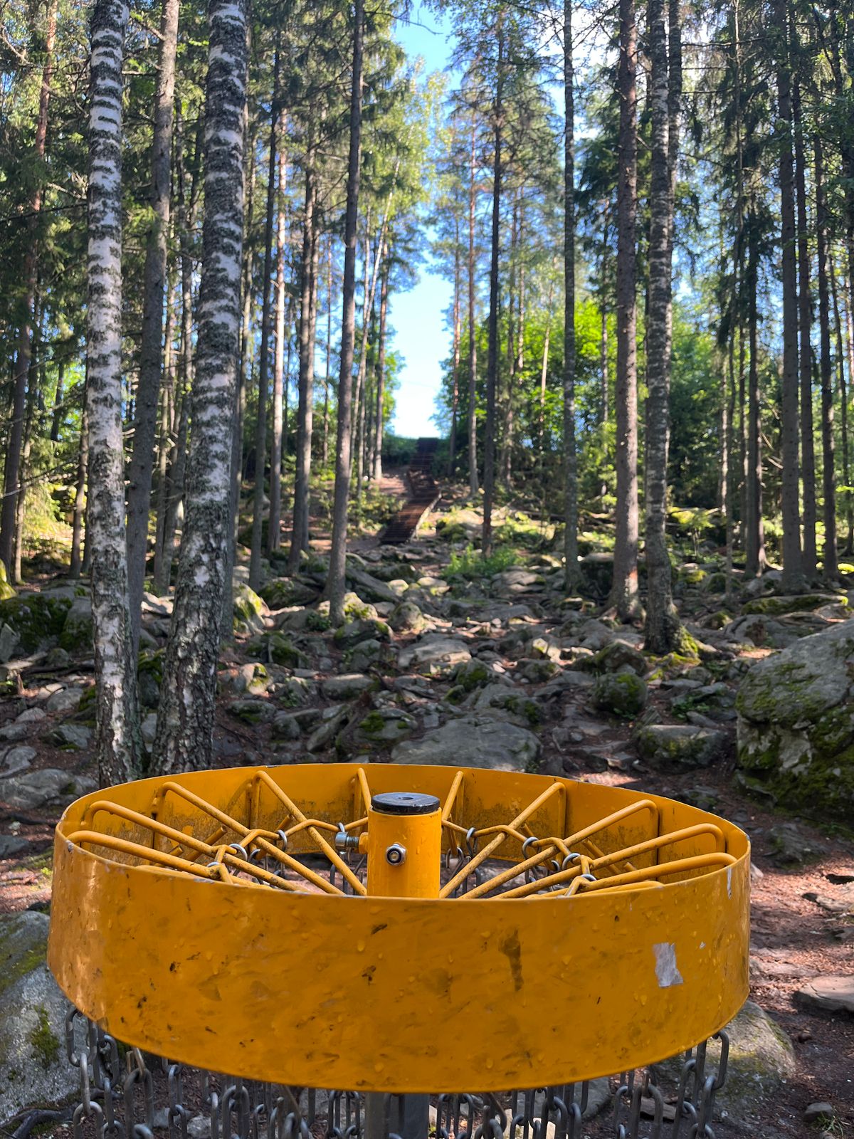 Hole 8, basket to tee