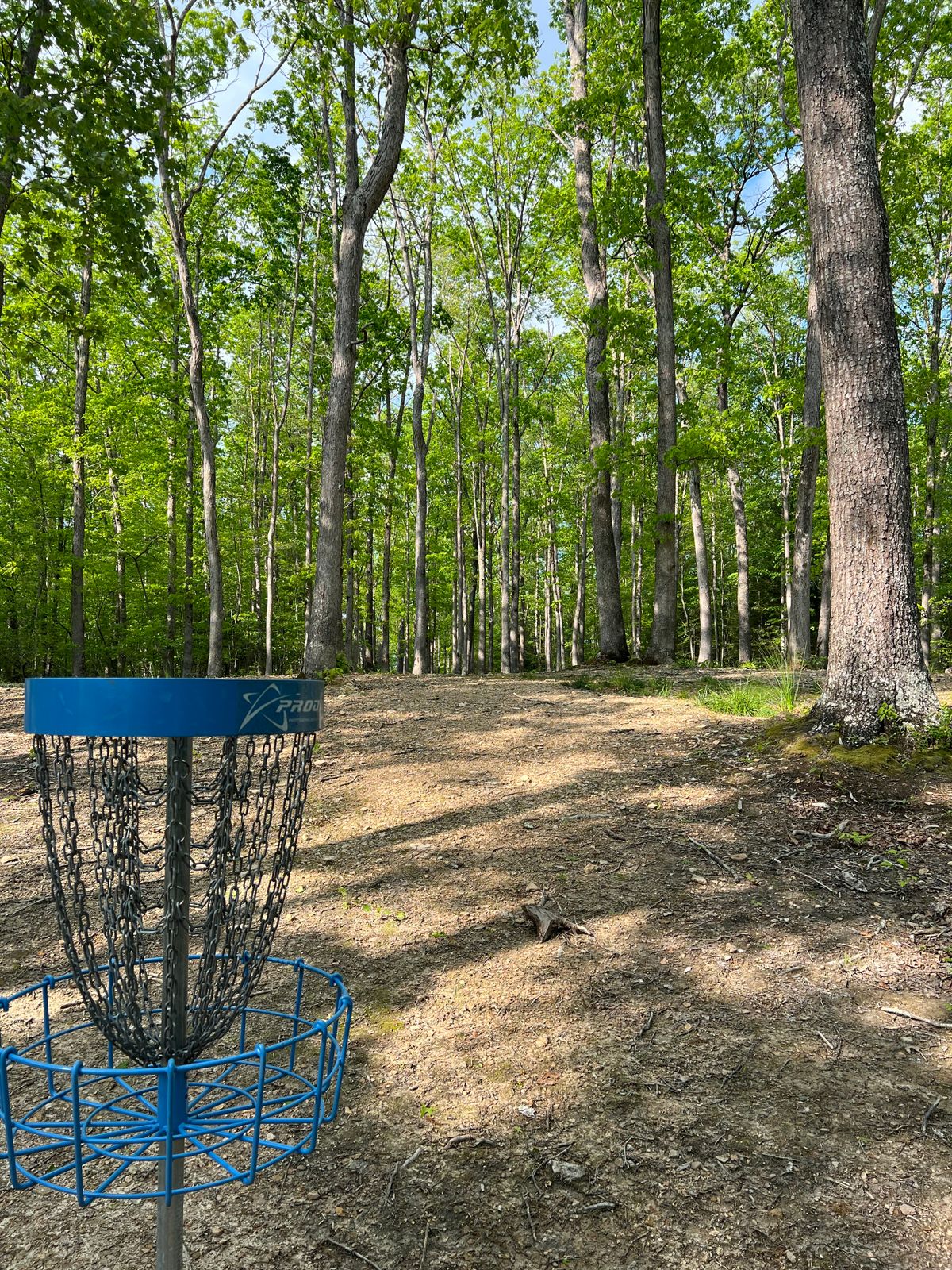 Hole 5 Basket to Tee