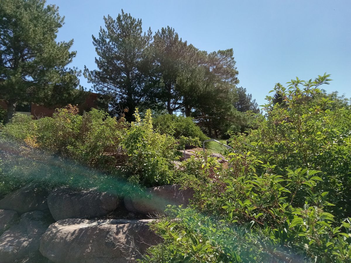 Hole 7 Neo(new) Layout