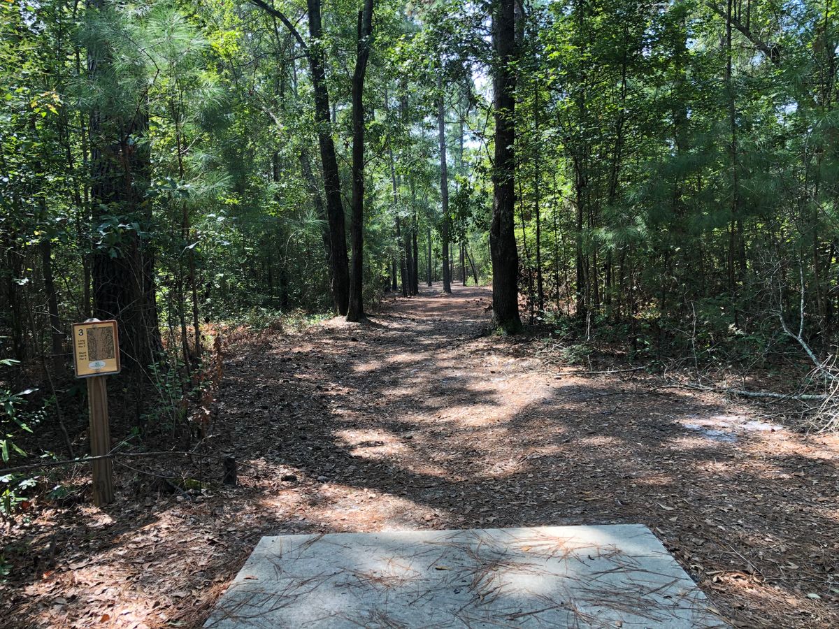 Hole 3 - Gold