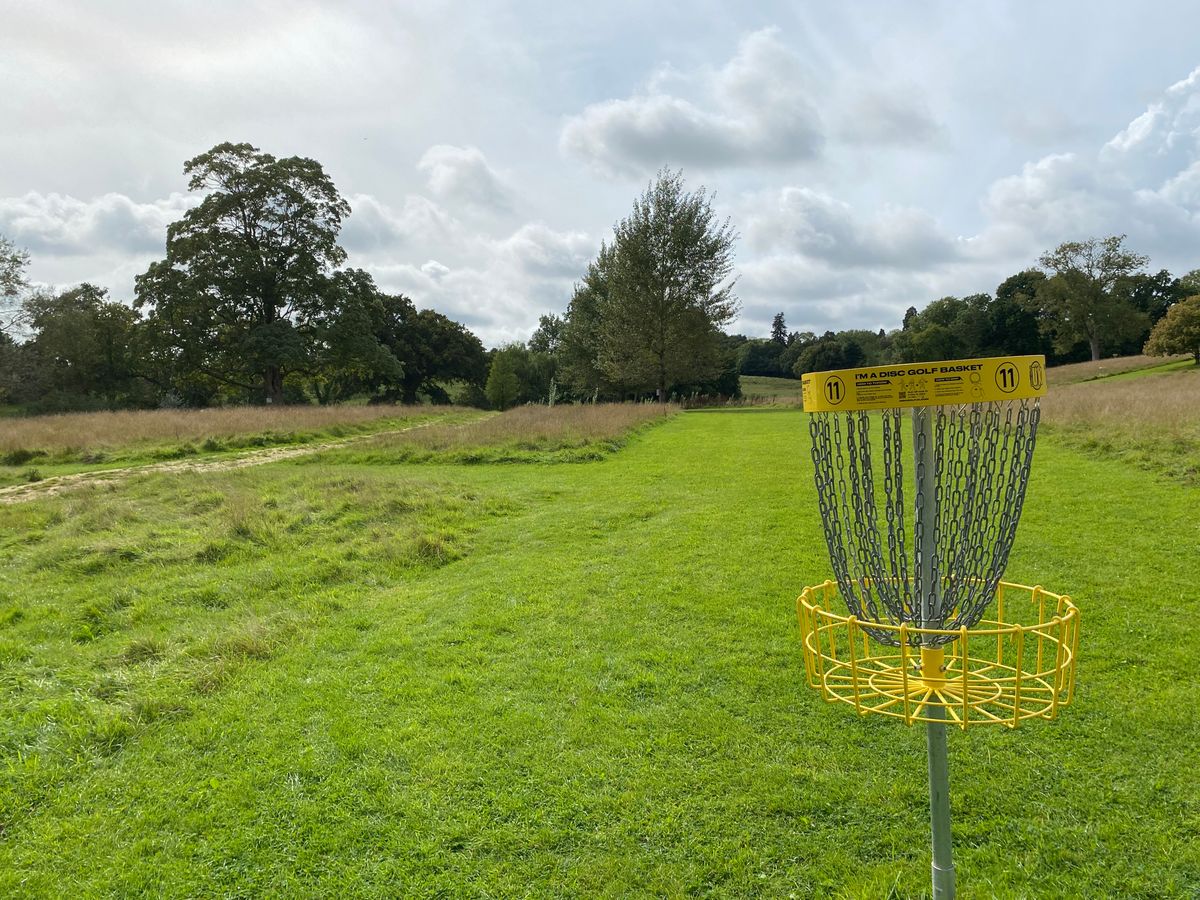 Hole 11 basket looking back towards tee