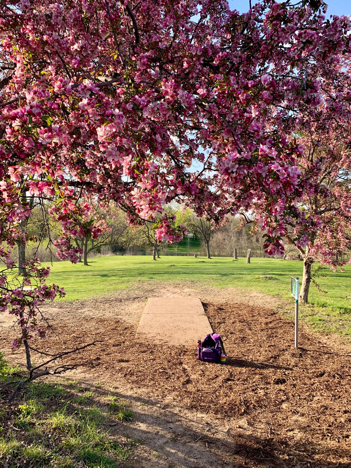 Hole 5 tee