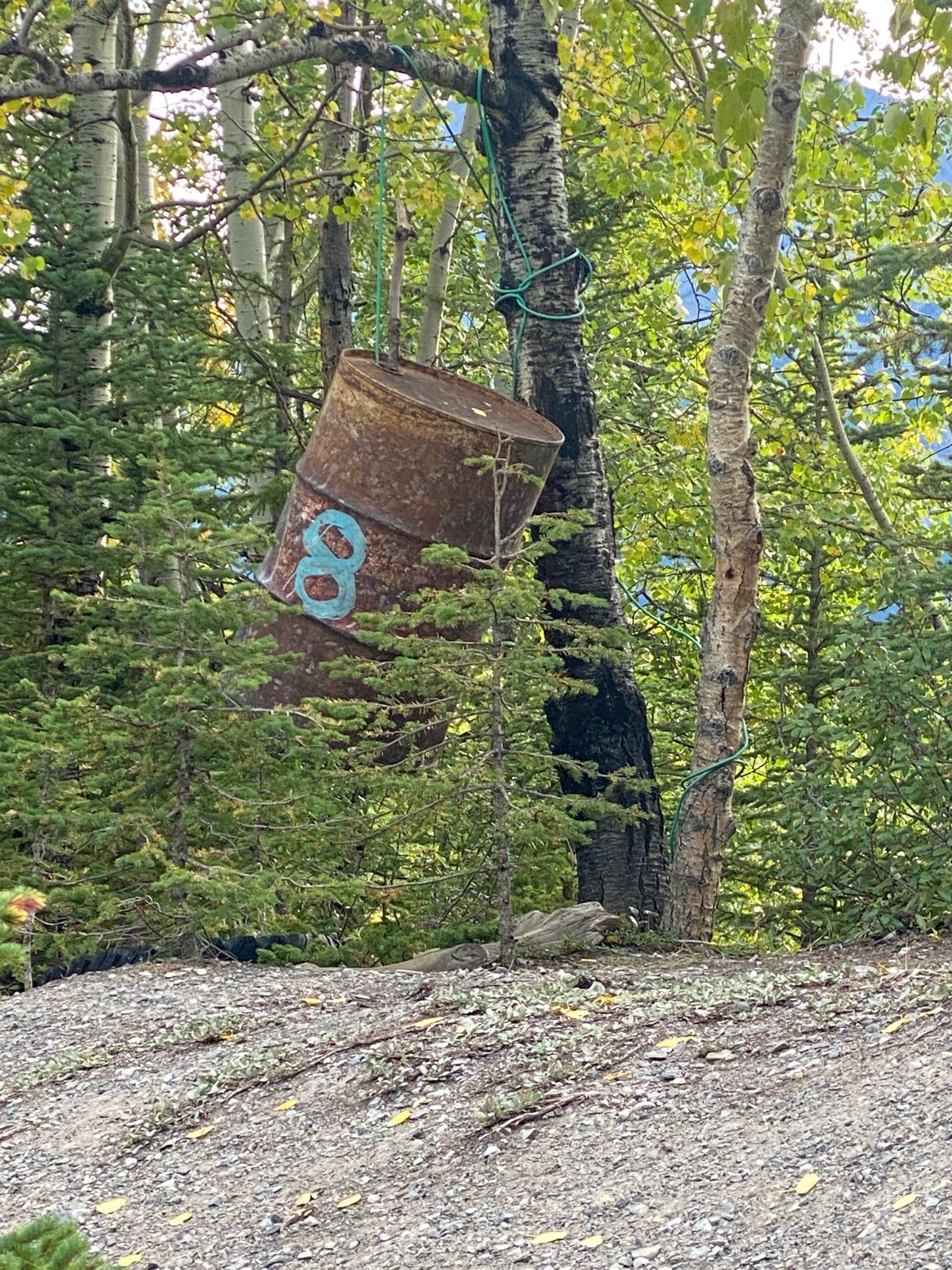 Hole 8 Basket