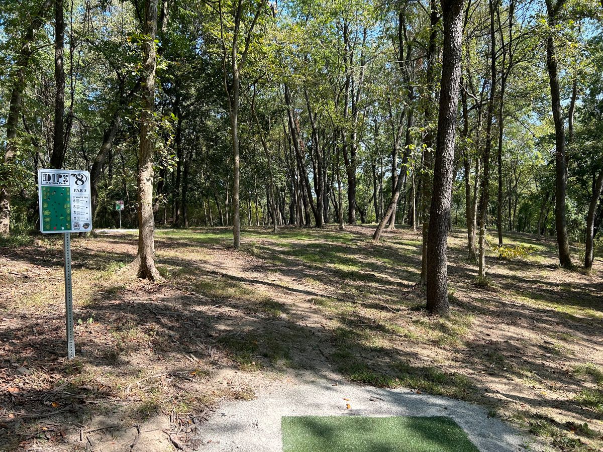 Hole 8 White tee shot