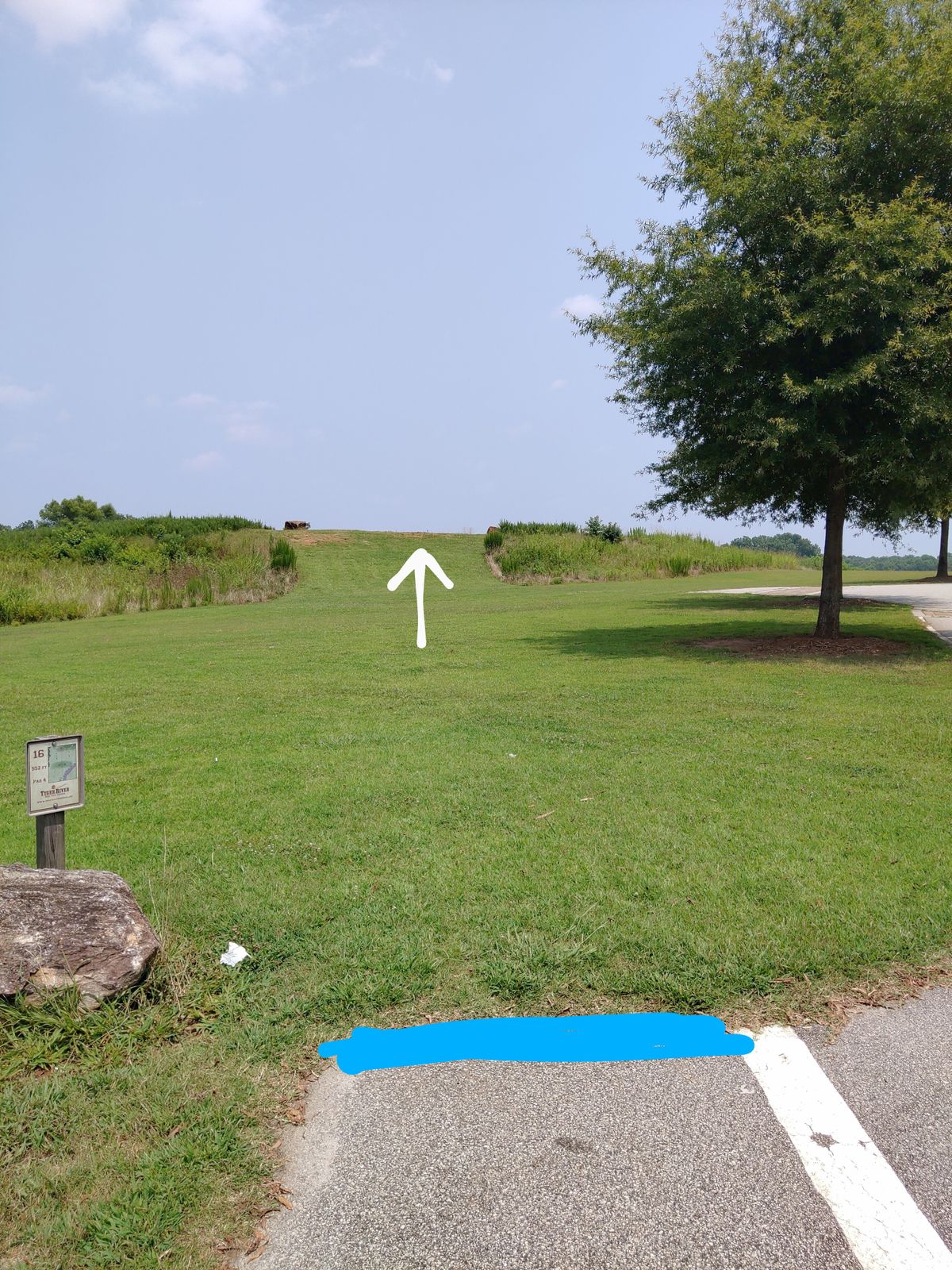 View from long tee box.