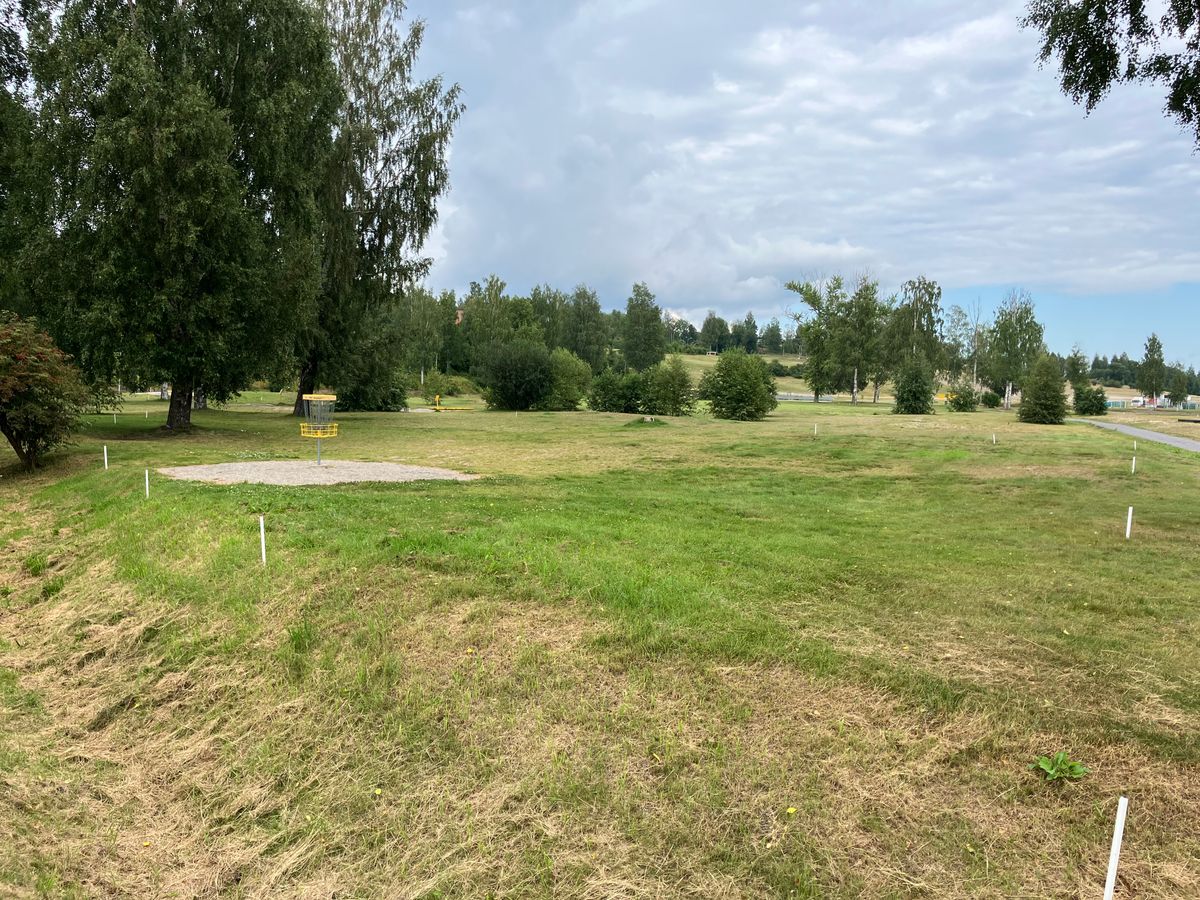 Hål 19, Green