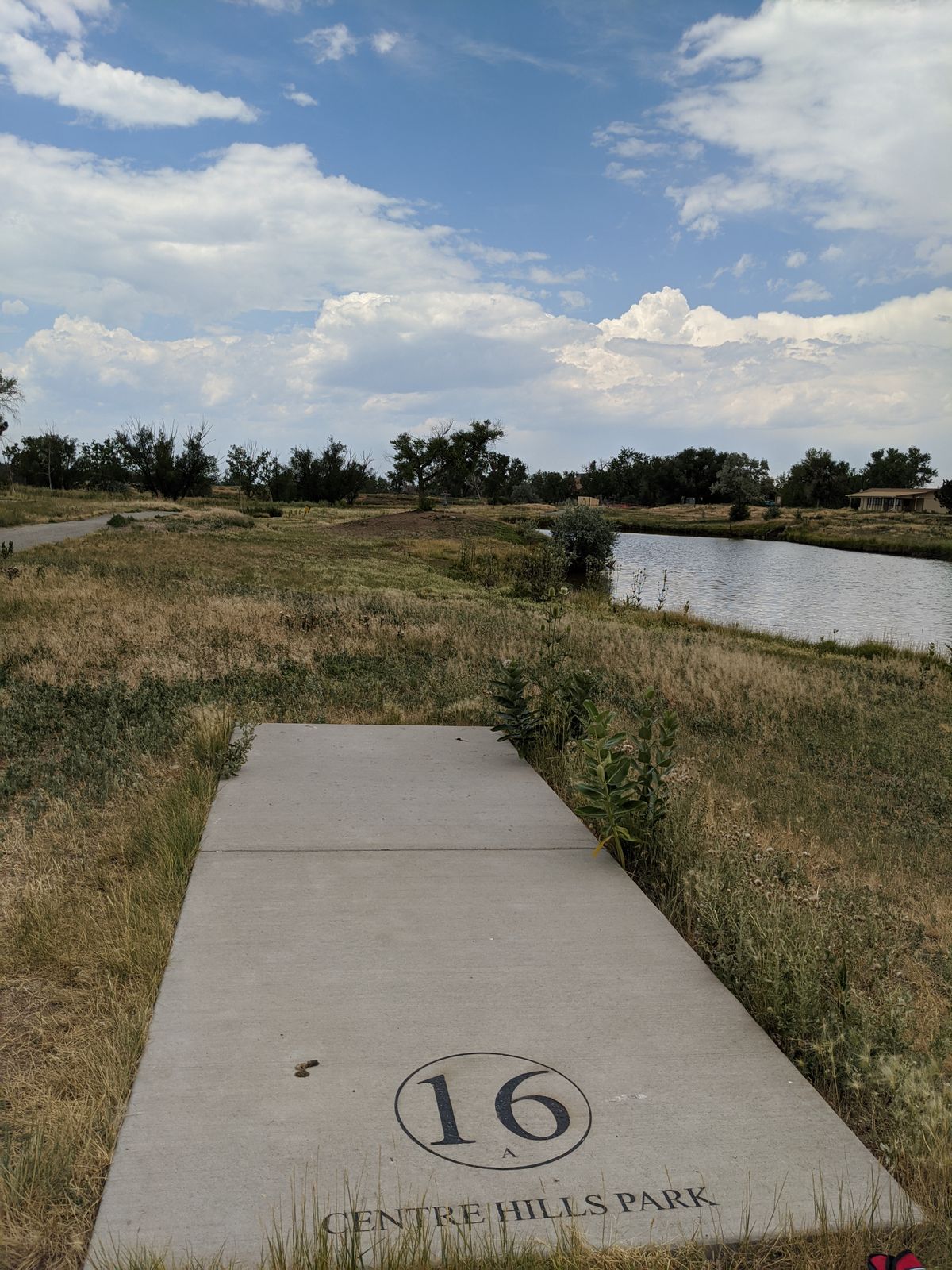 ace run on 16