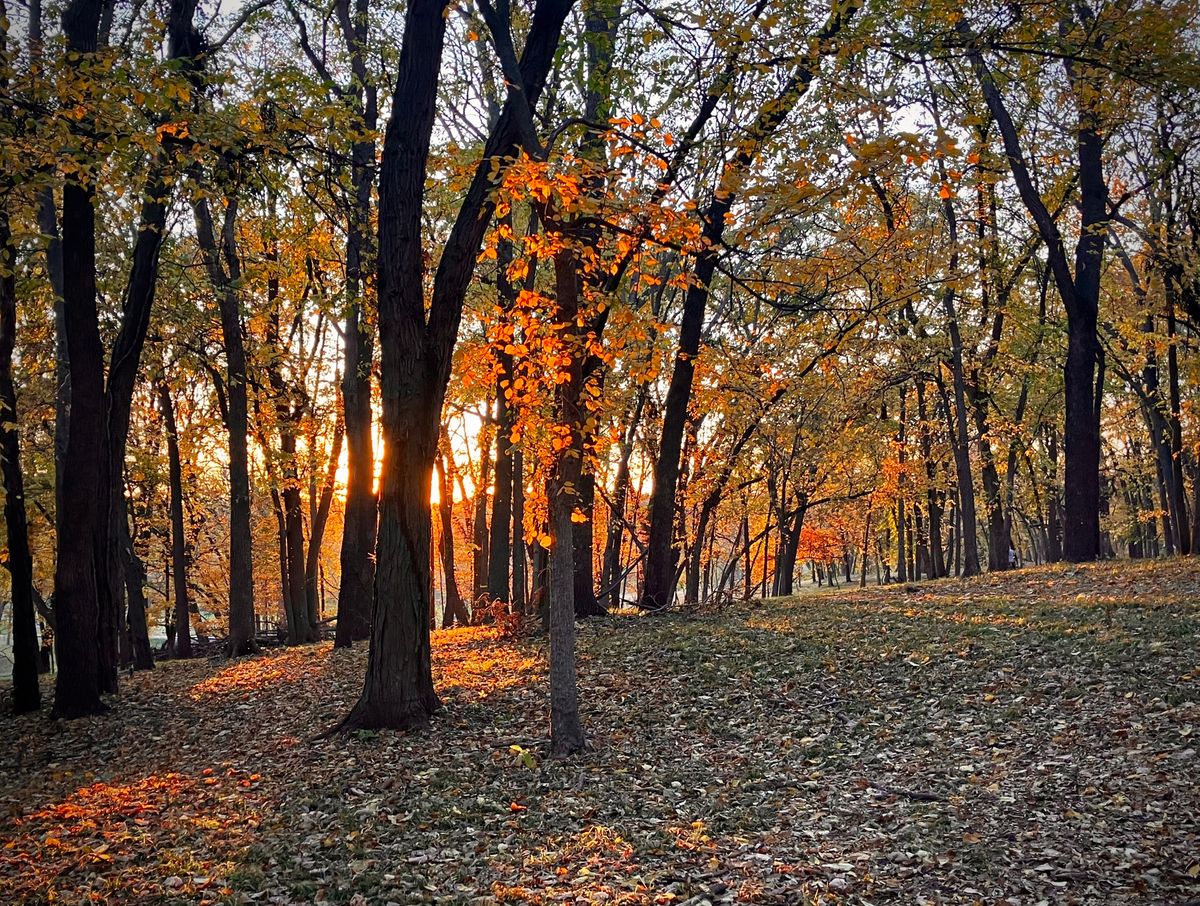 View from hole 15’s fairway.