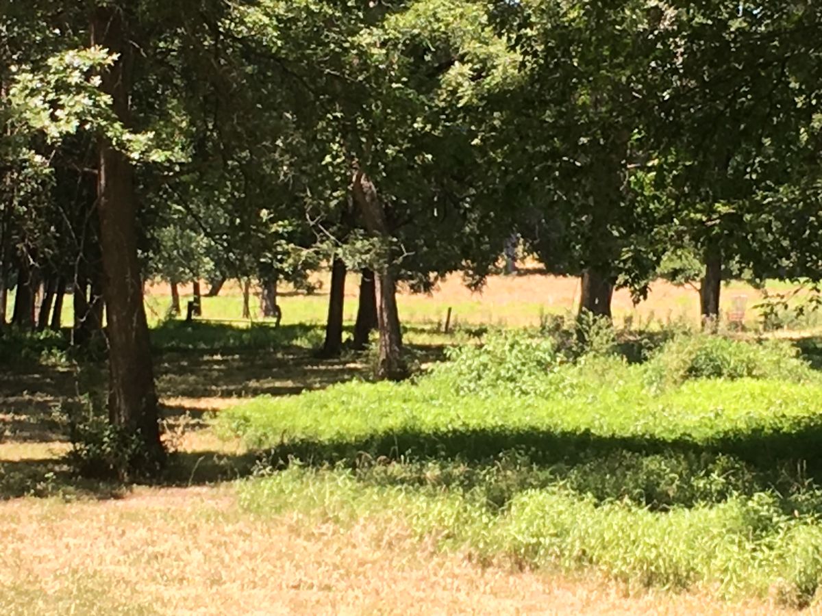 Middle of hole 4s fairway
