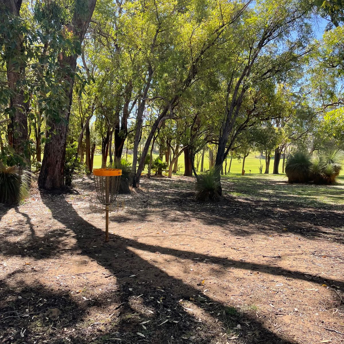 Hole 6 Basket