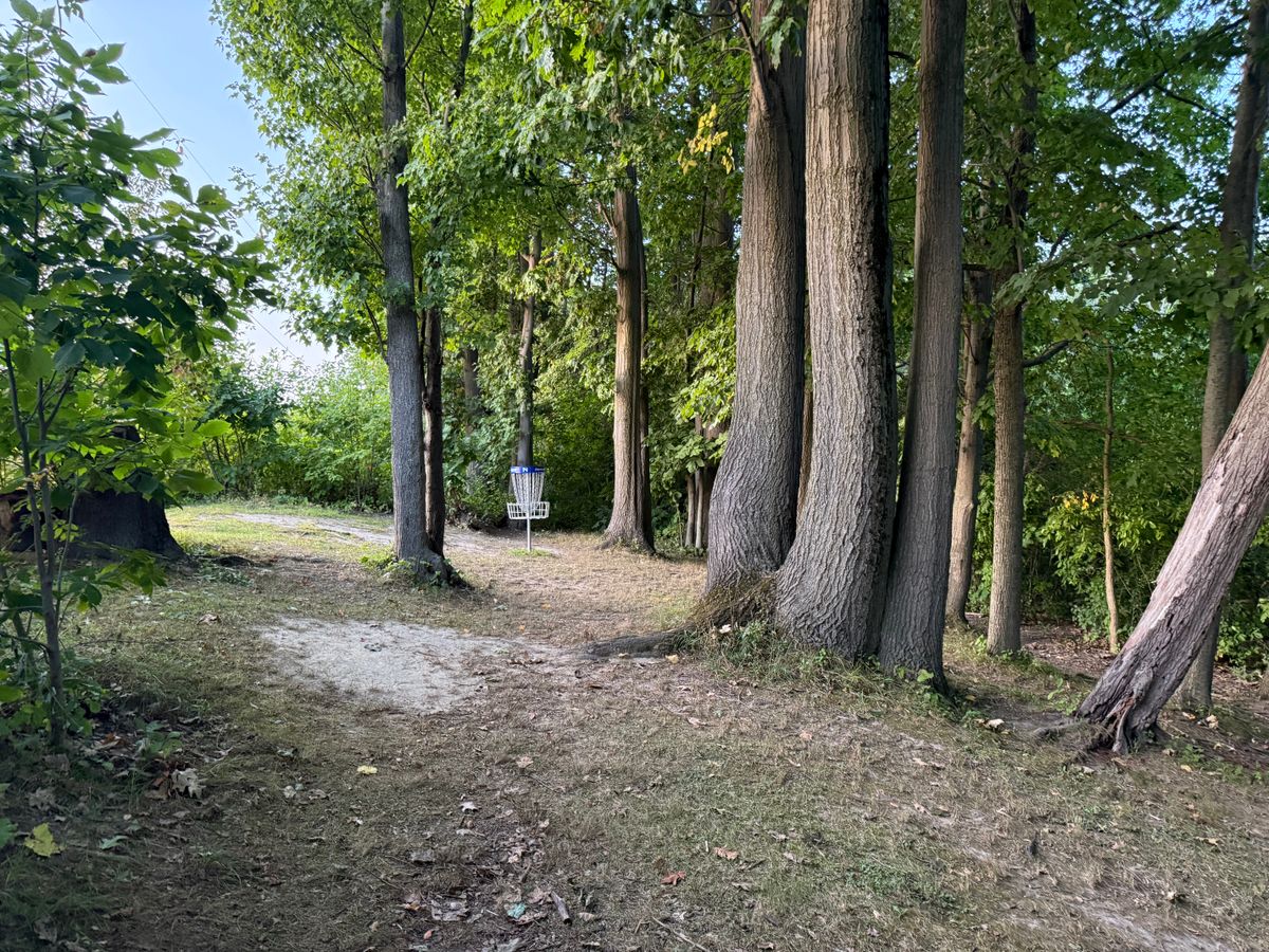 Hole 14 Green