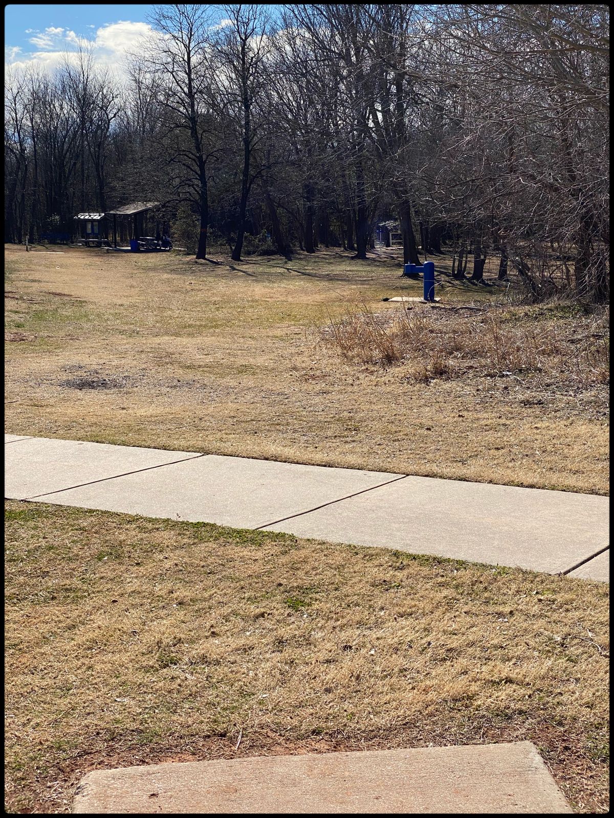 #1 Tee Throwing south