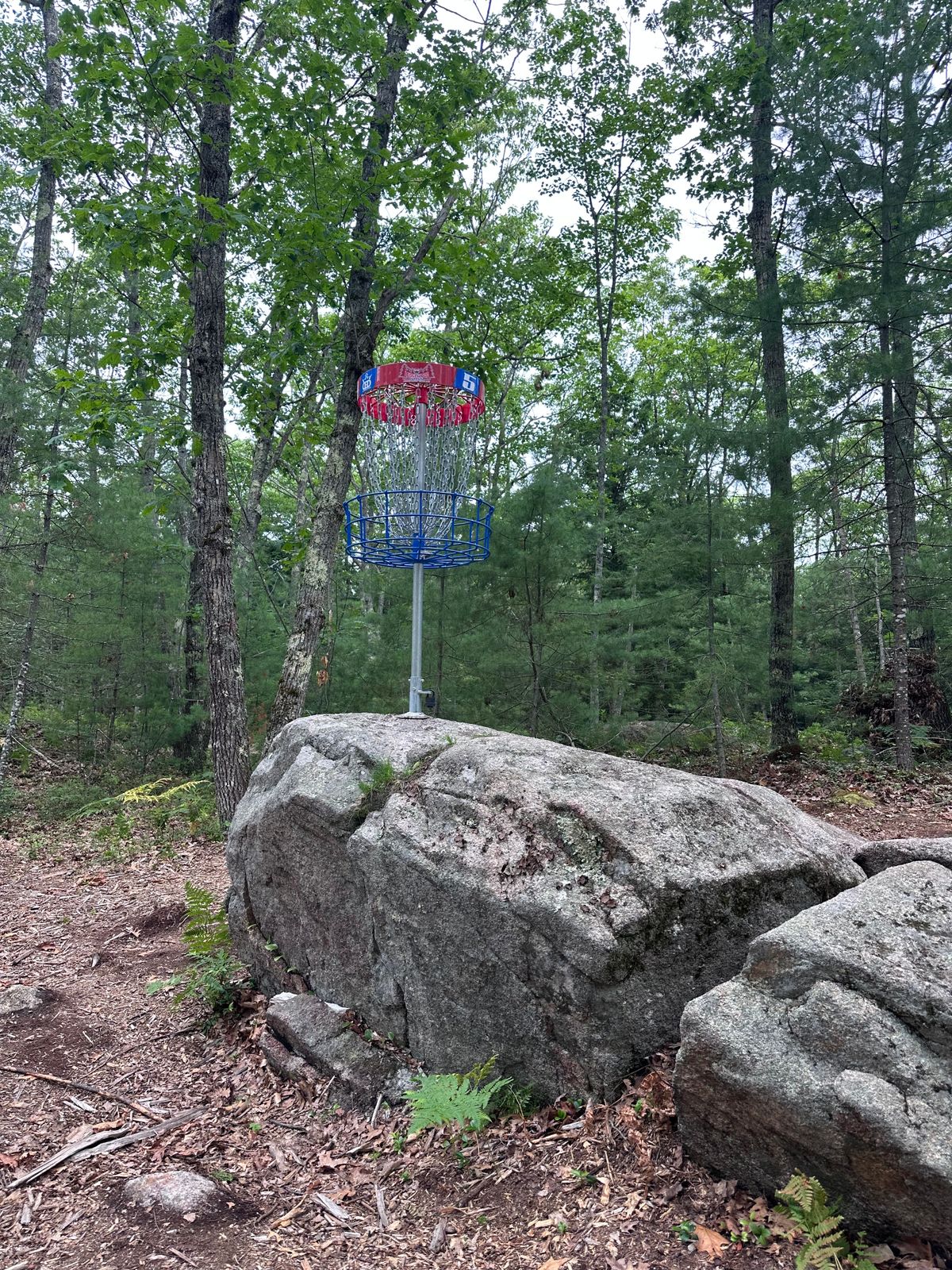 Great basket placement