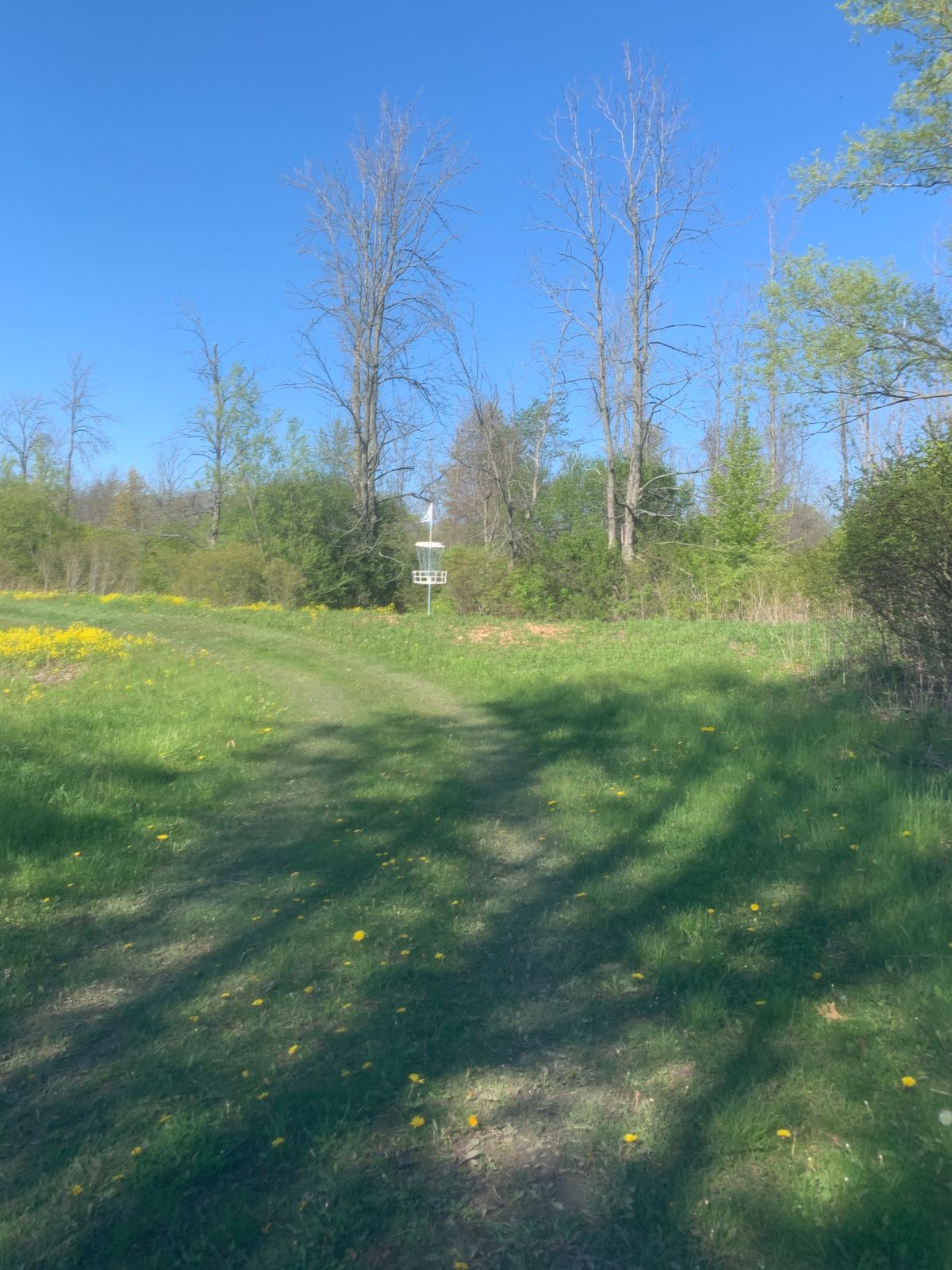 Hole 6 basket